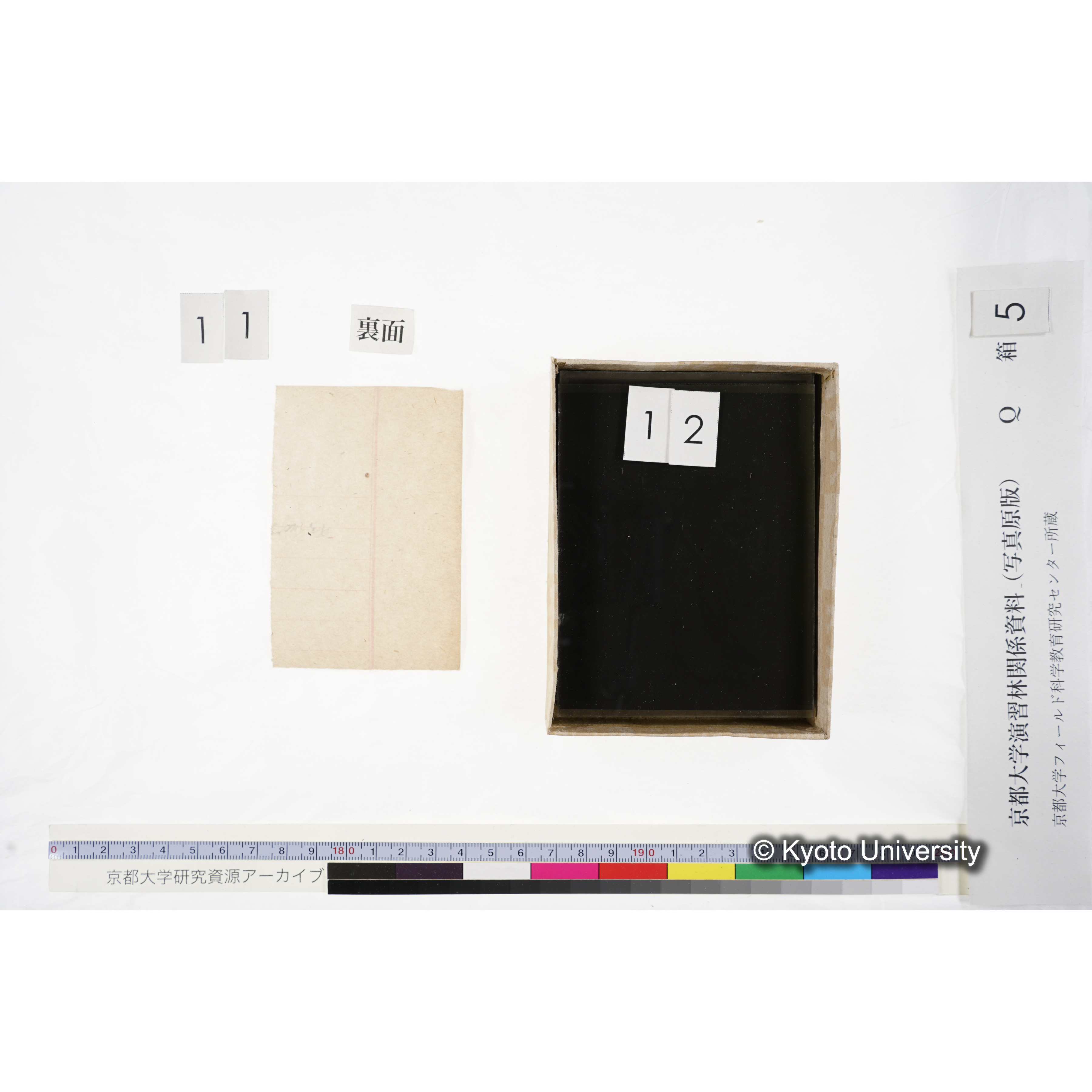 [ガラス乾板Q-箱5] 外国種子. (16)