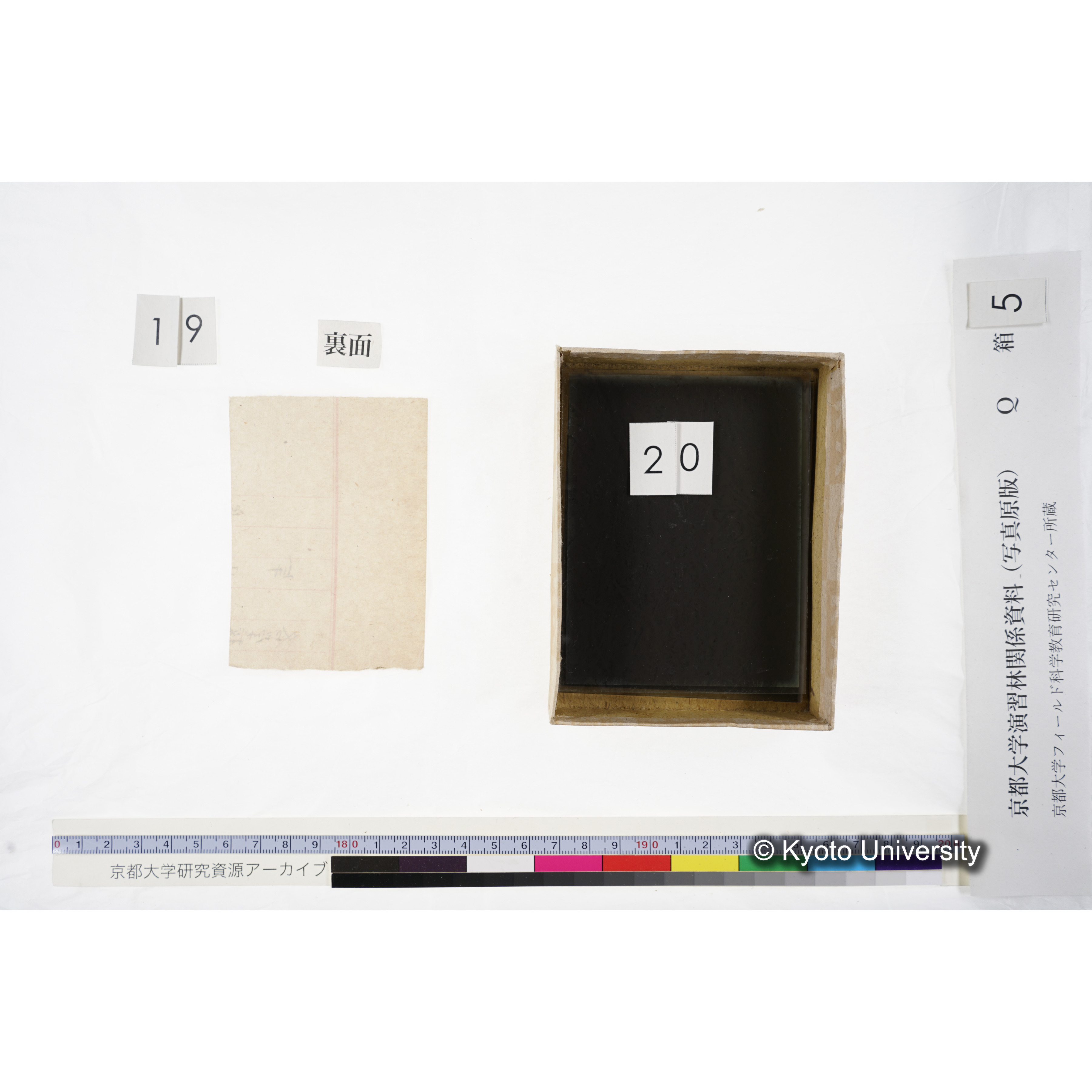 [ガラス乾板Q-箱5] 外国種子. (18)