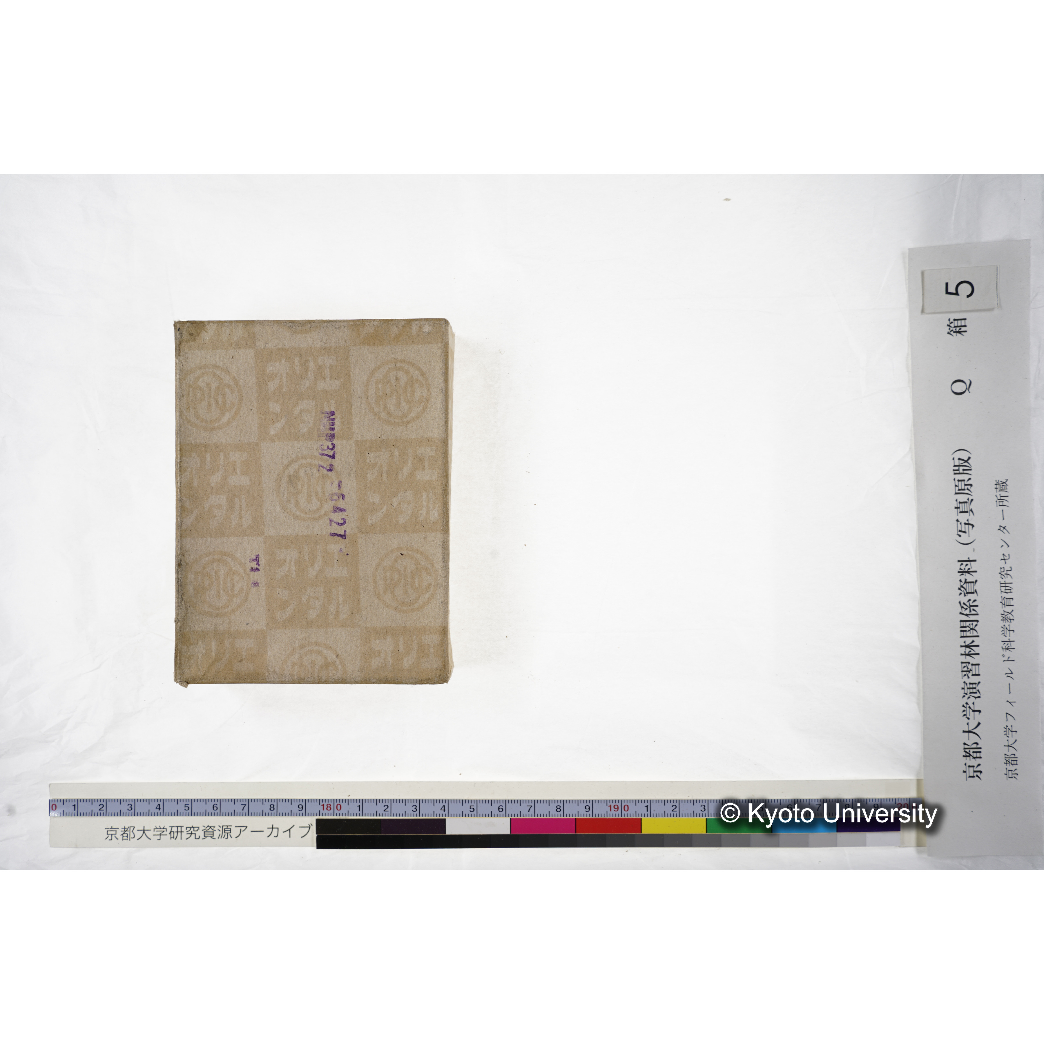 [ガラス乾板Q-箱5] 外国種子. (19)