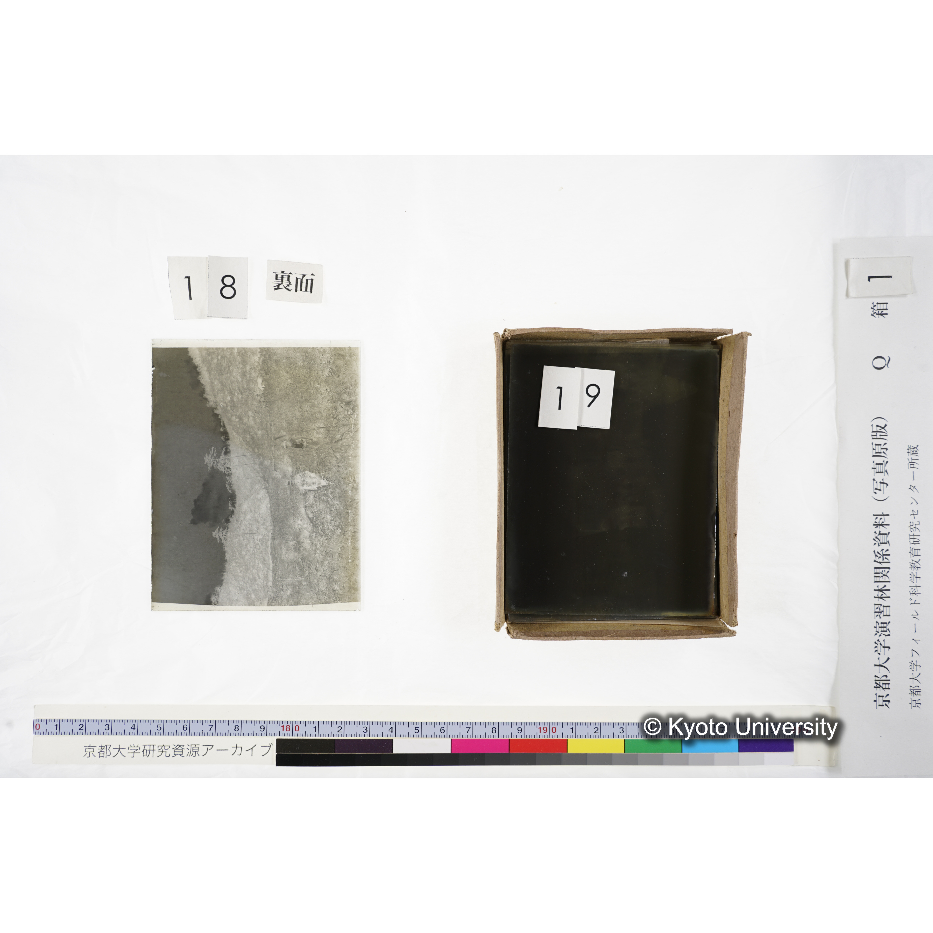 〔設定当時の第二苗圃候補地〕 (3)