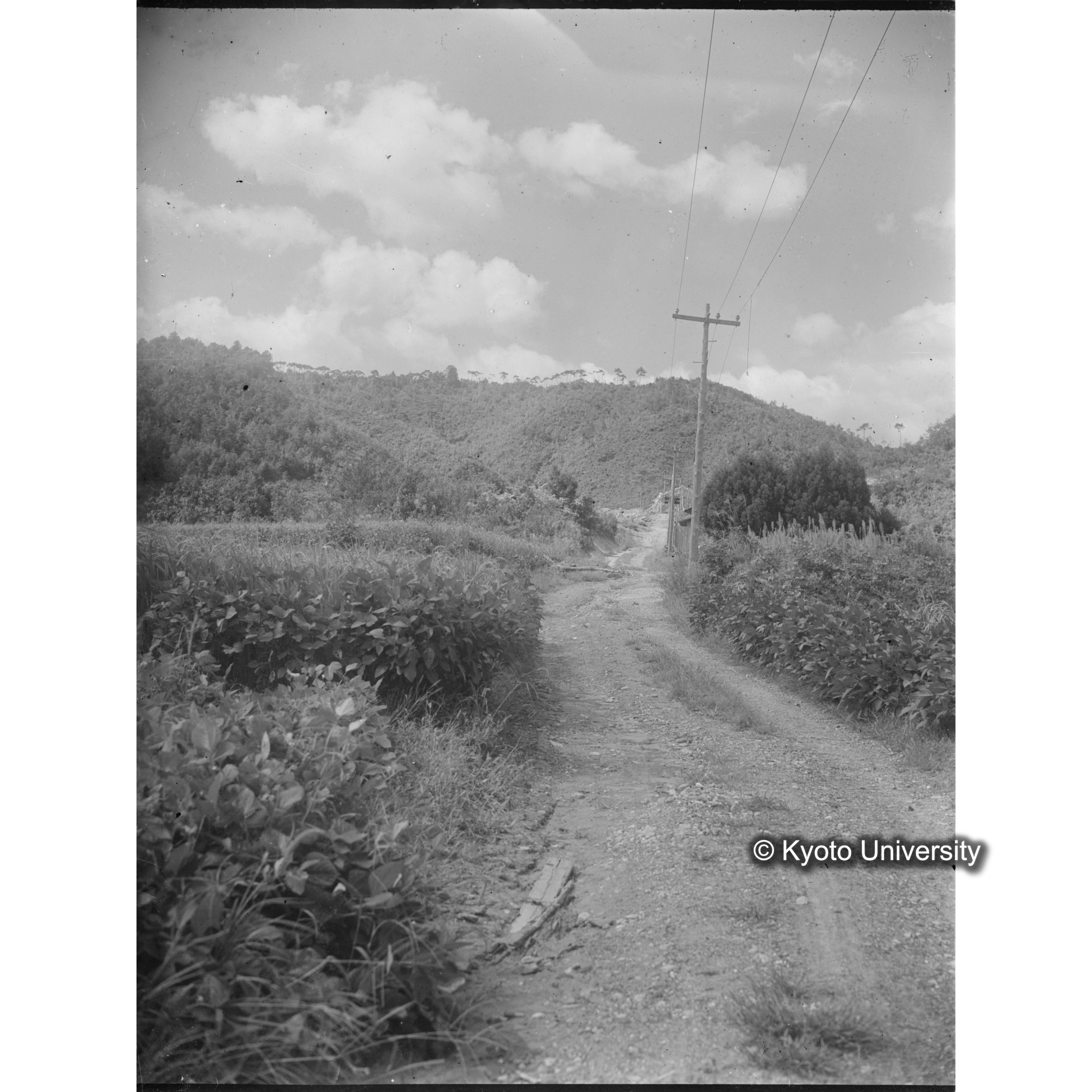 〔設定当時の正門道路〕 (1)