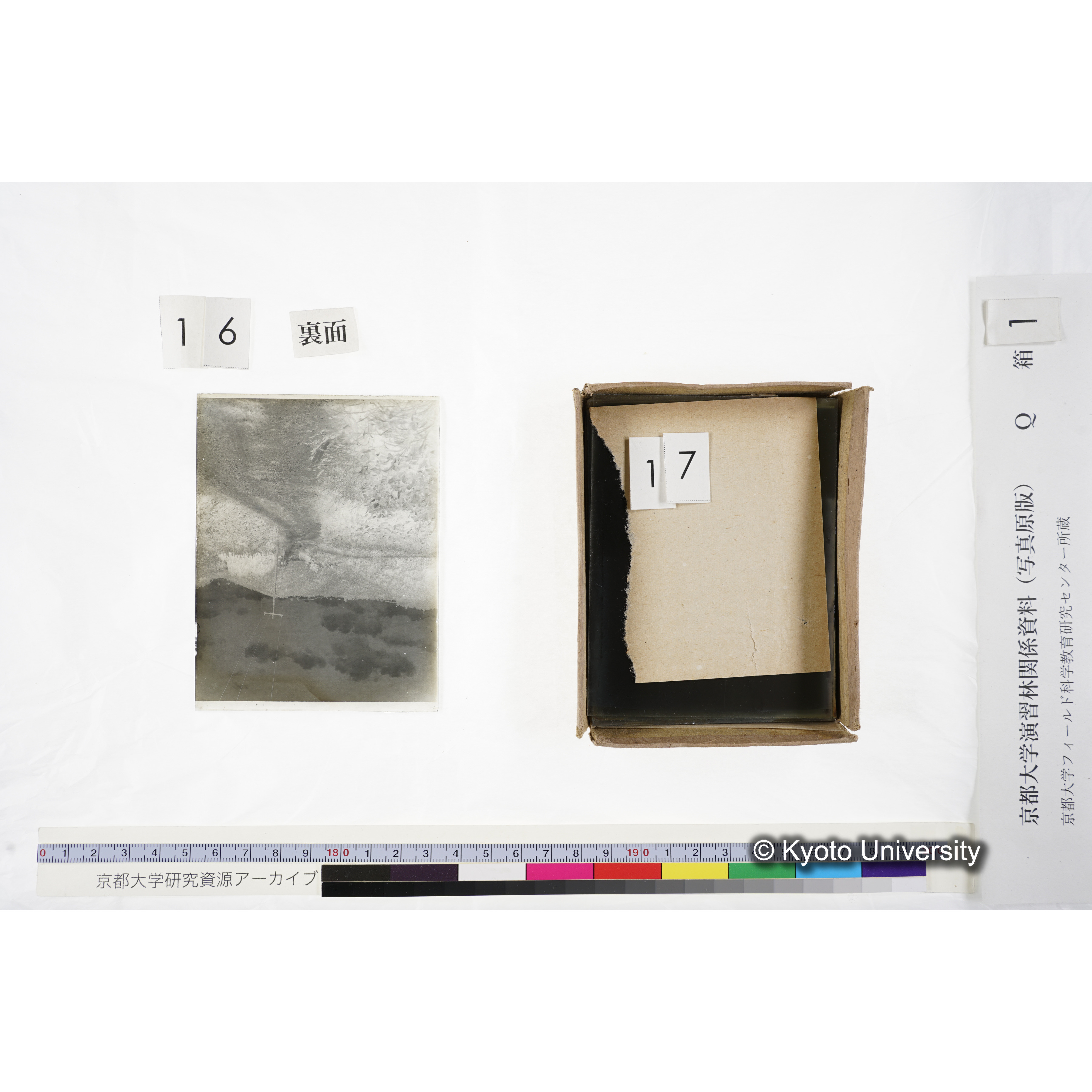 〔設定当時の正門道路〕 (3)