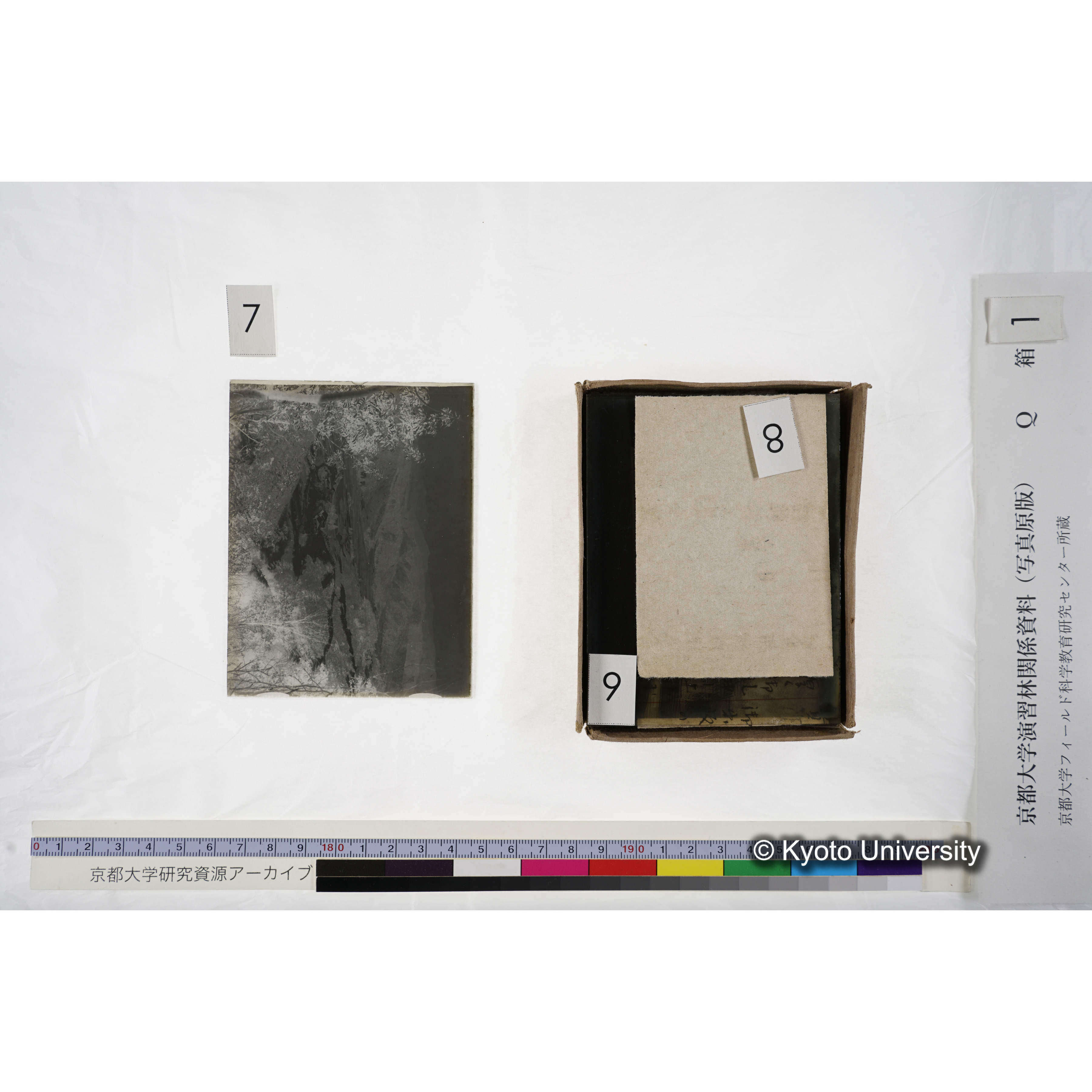 〔建設完了直後の林道〕 (2)