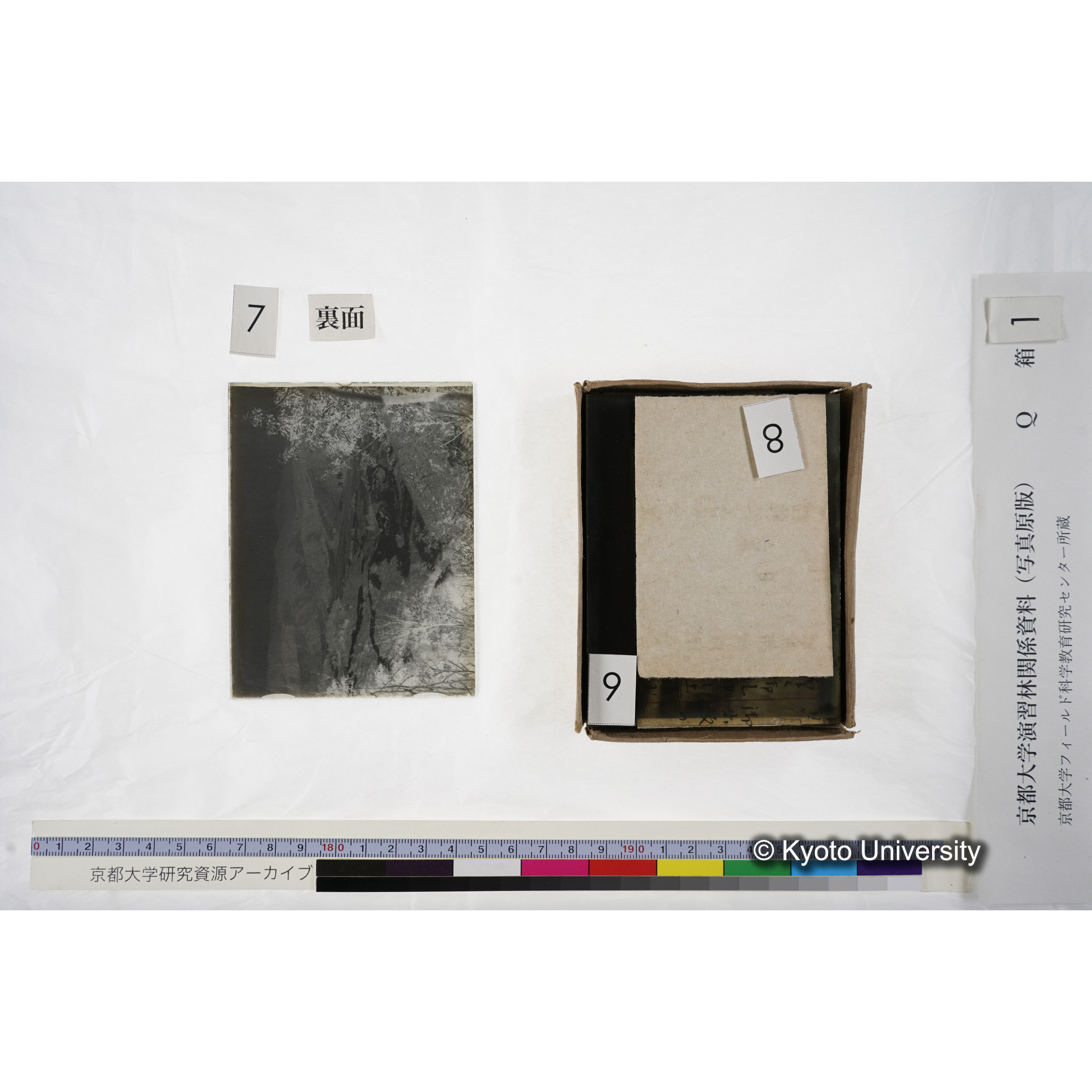 〔建設完了直後の林道〕 (3)