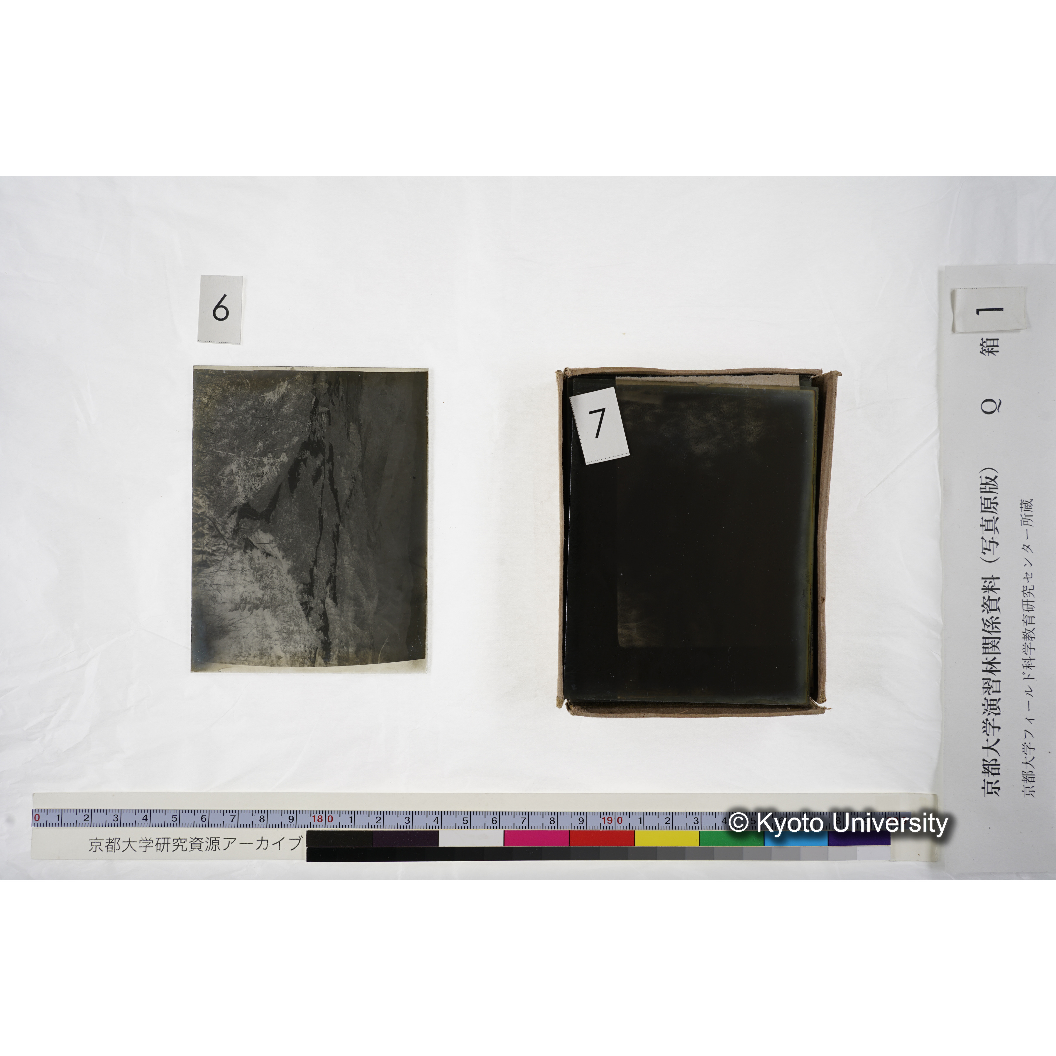 〔建設完了直後の林道〕 (2)