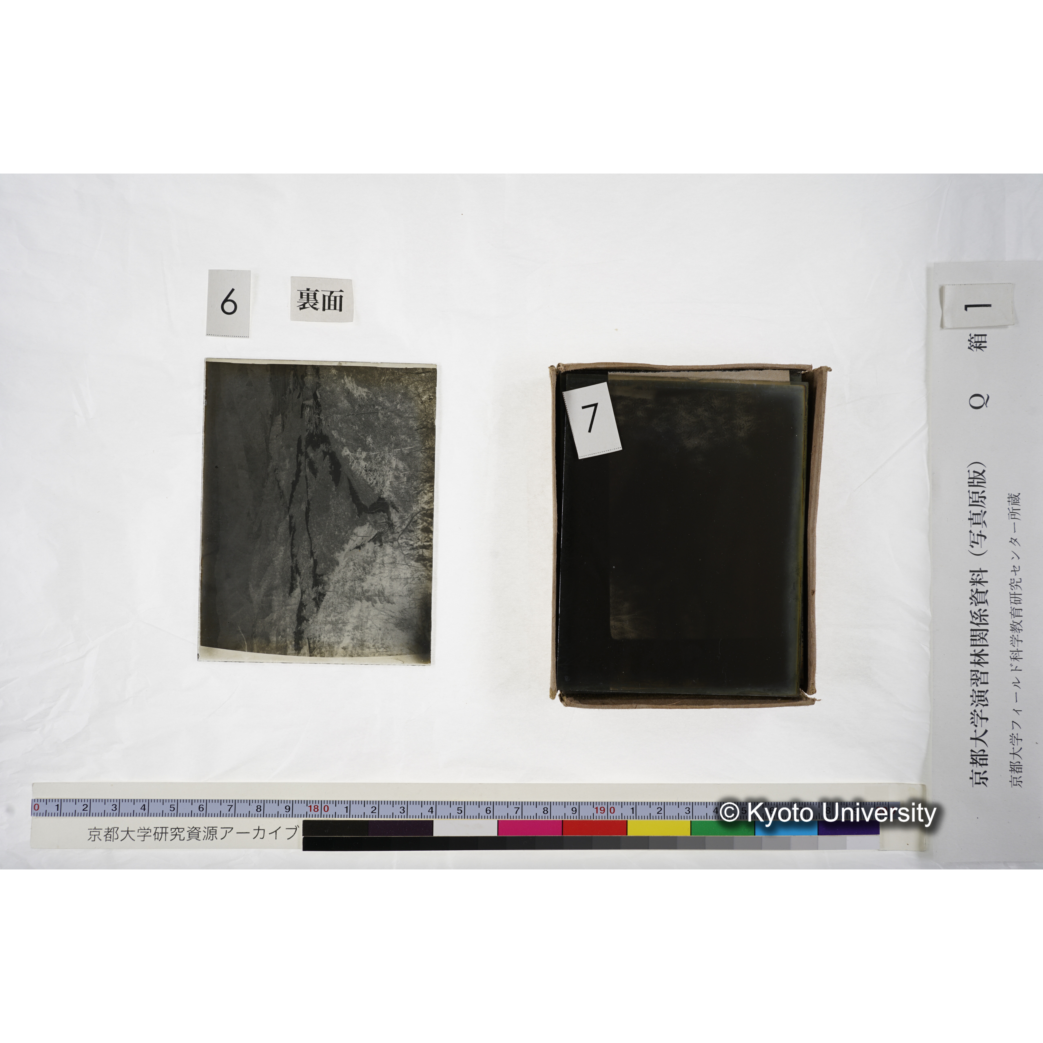 〔建設完了直後の林道〕 (3)