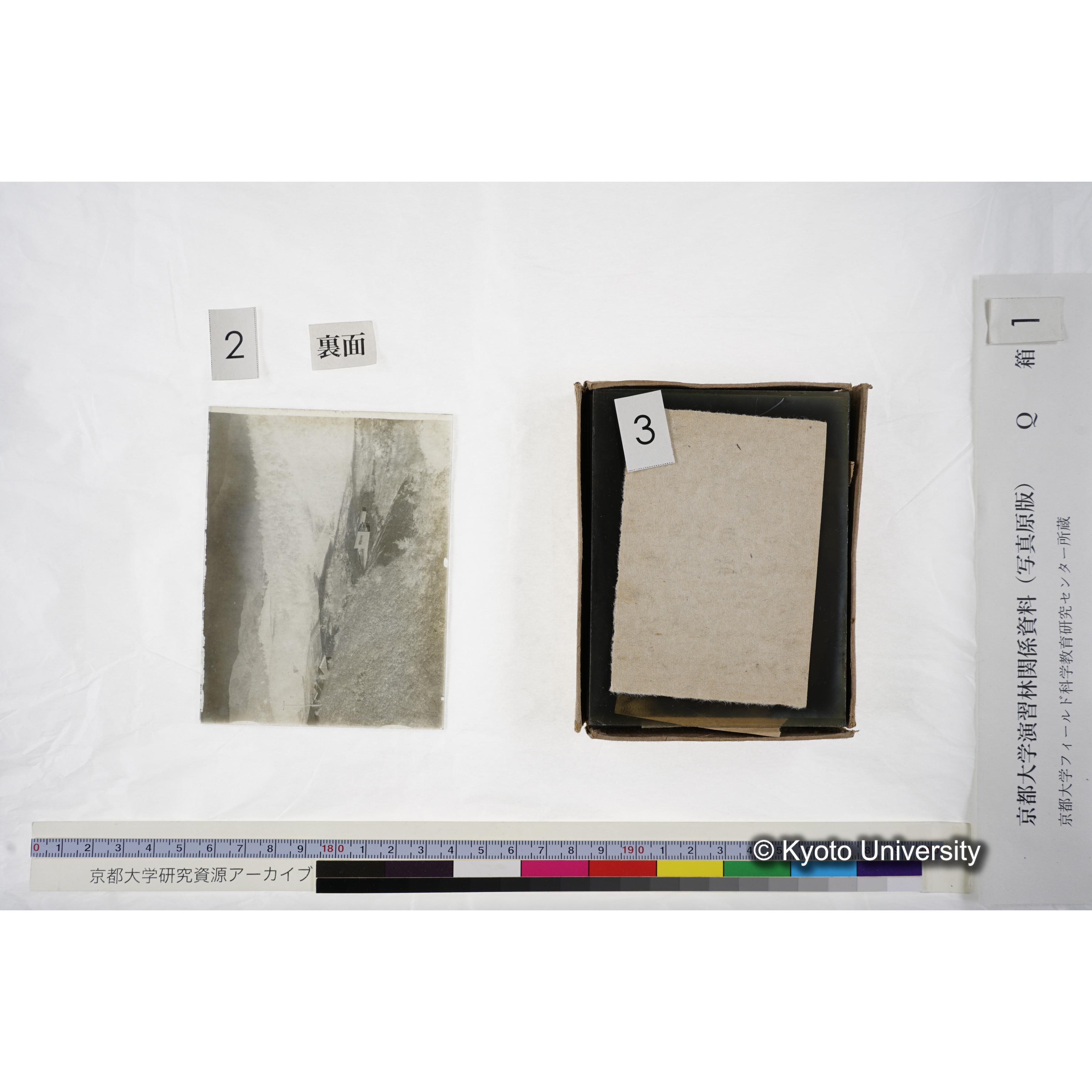 〔建設当時の第一苗圃〕 (3)