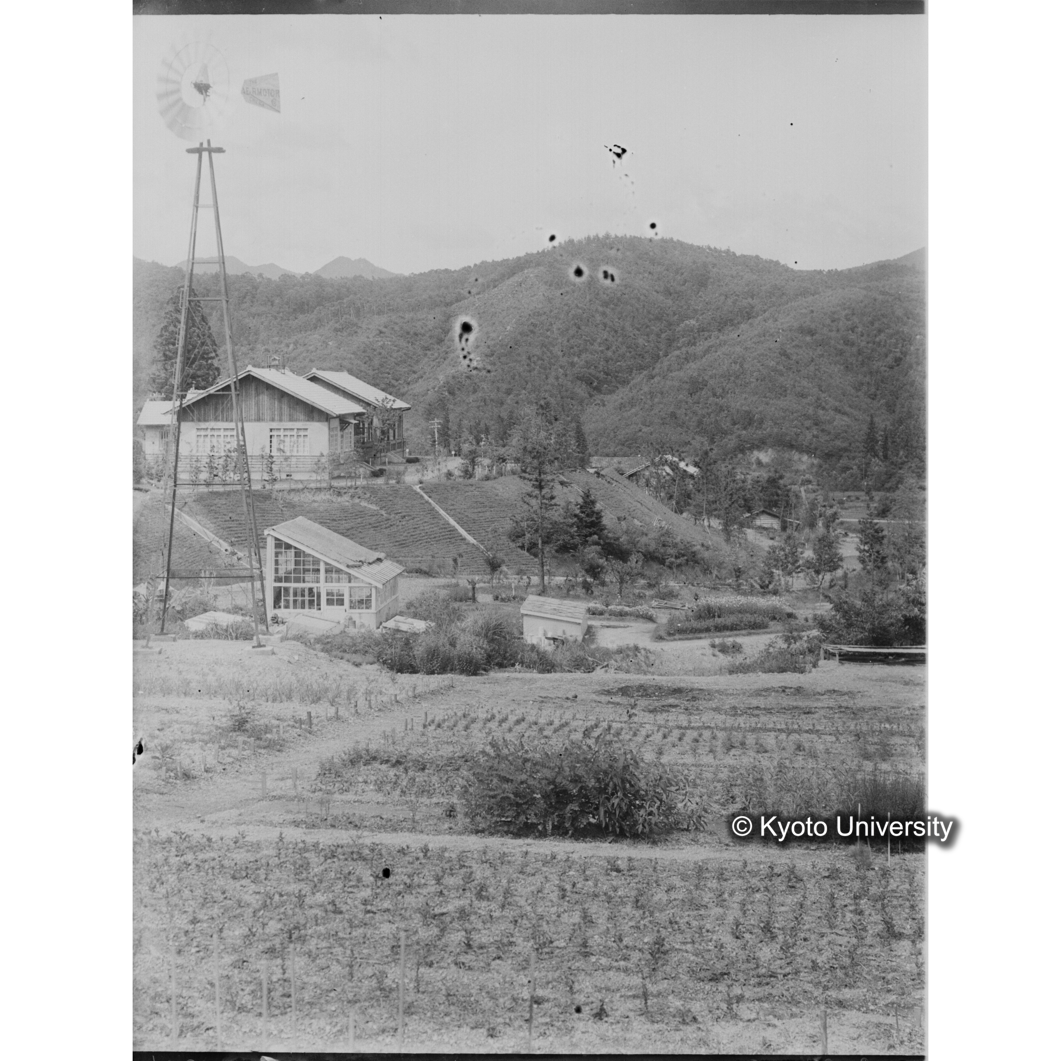 〔西から研究室付近を望む〕 (1)