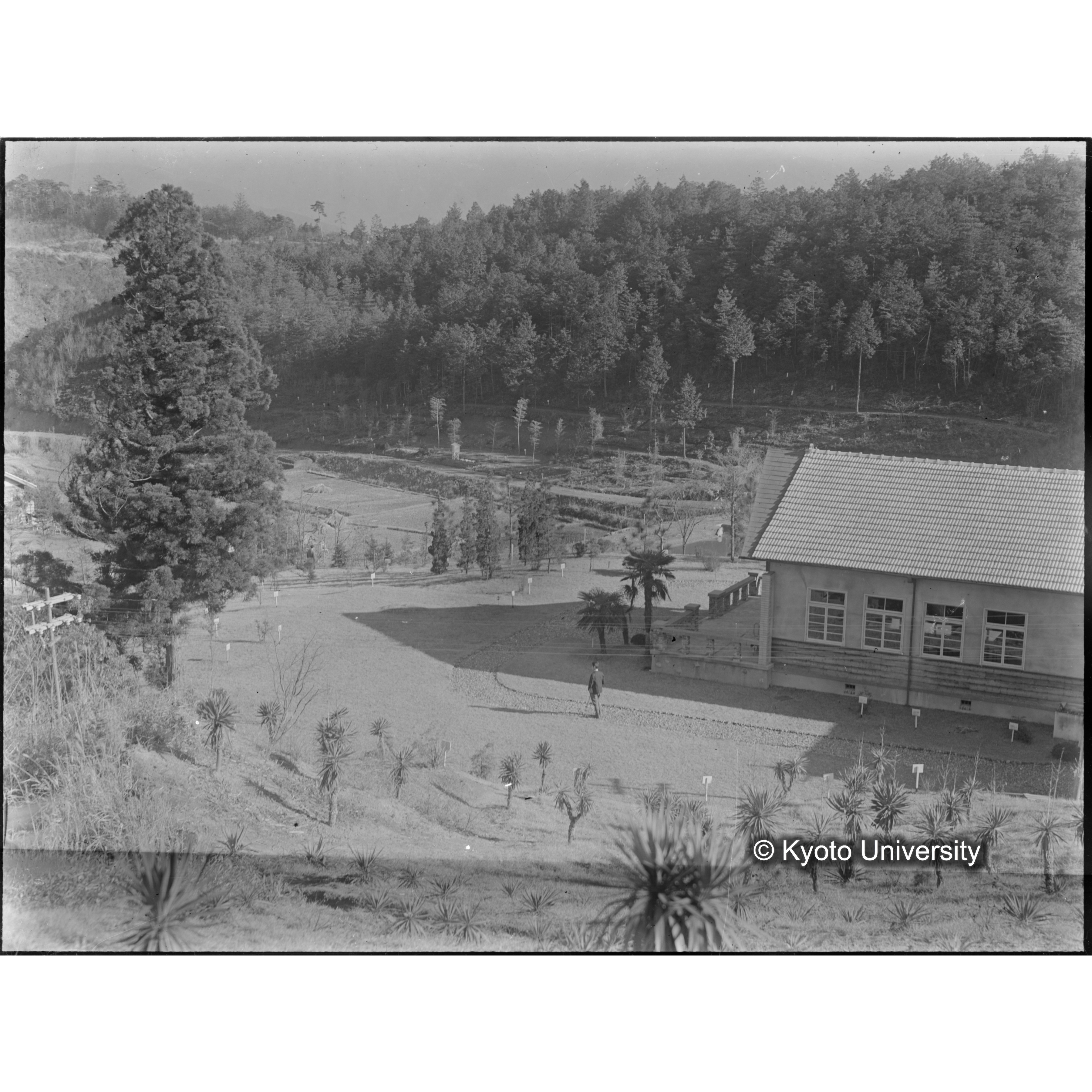 〔北から研究室付近を望む〕 (1)