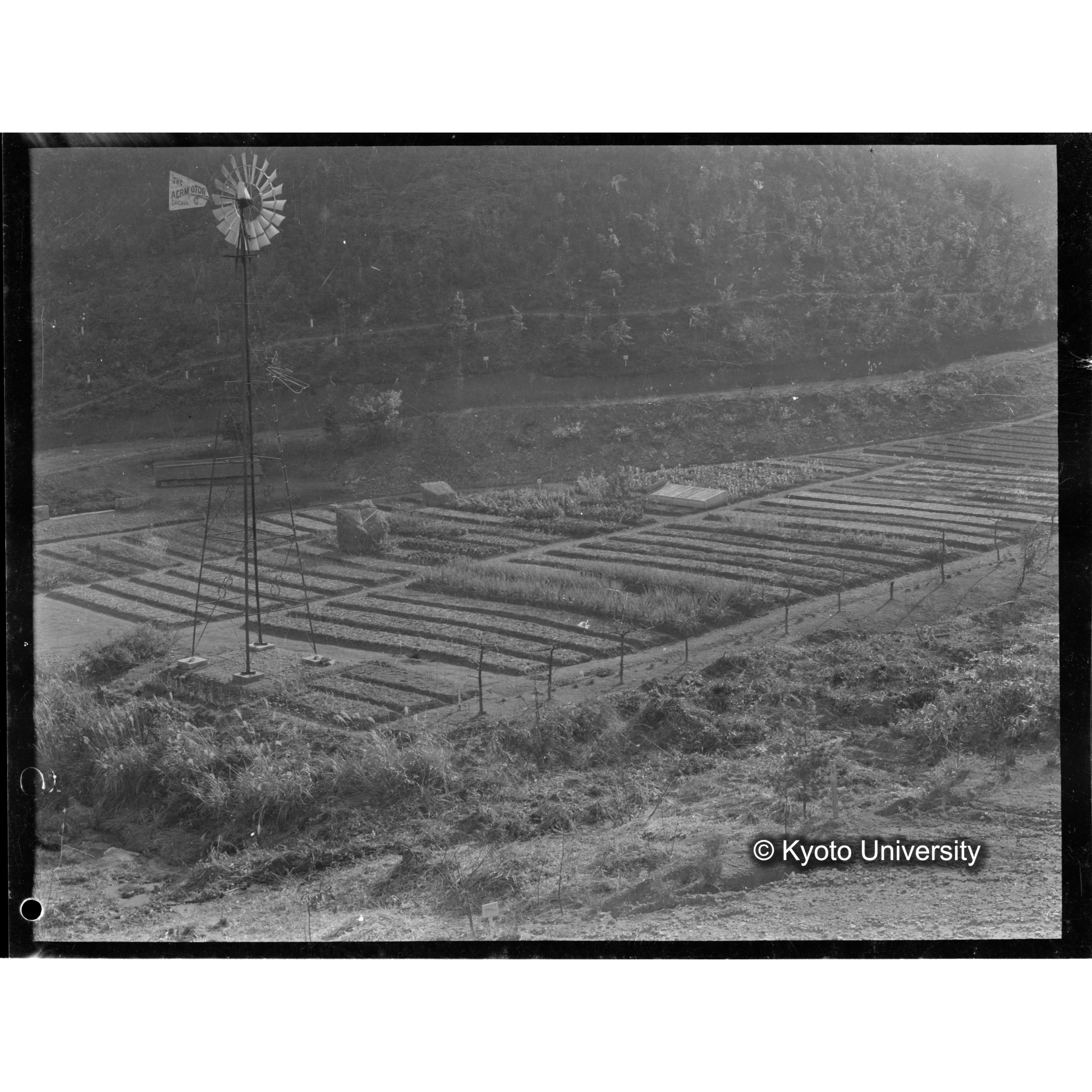 〔風力式ウォーターポンプ 「AERMOTOR」〕 (1)