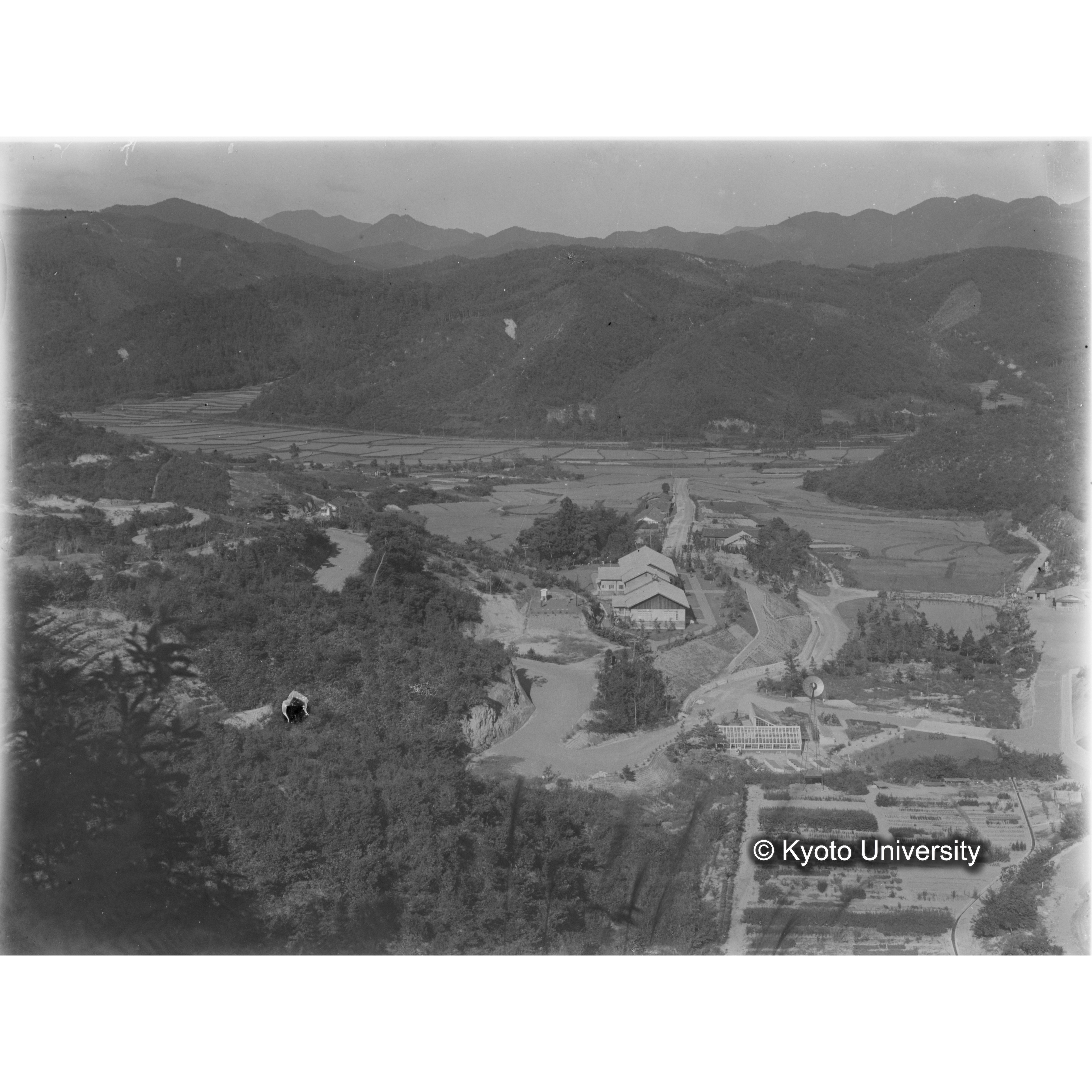 〔第一苗圃〕 (1)