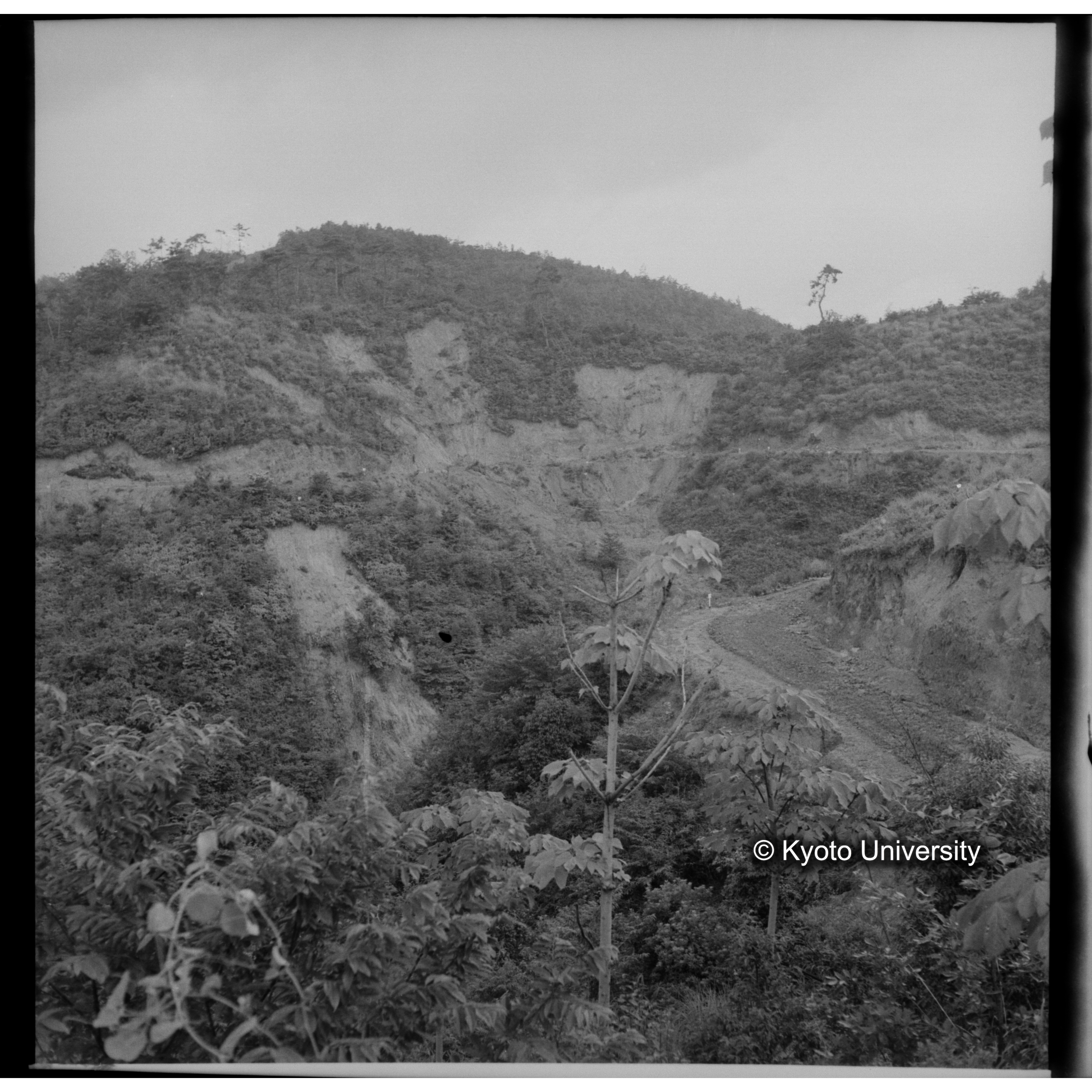 〔昭和26年度水害状況　林地及び車道の崩壊〕 (1)