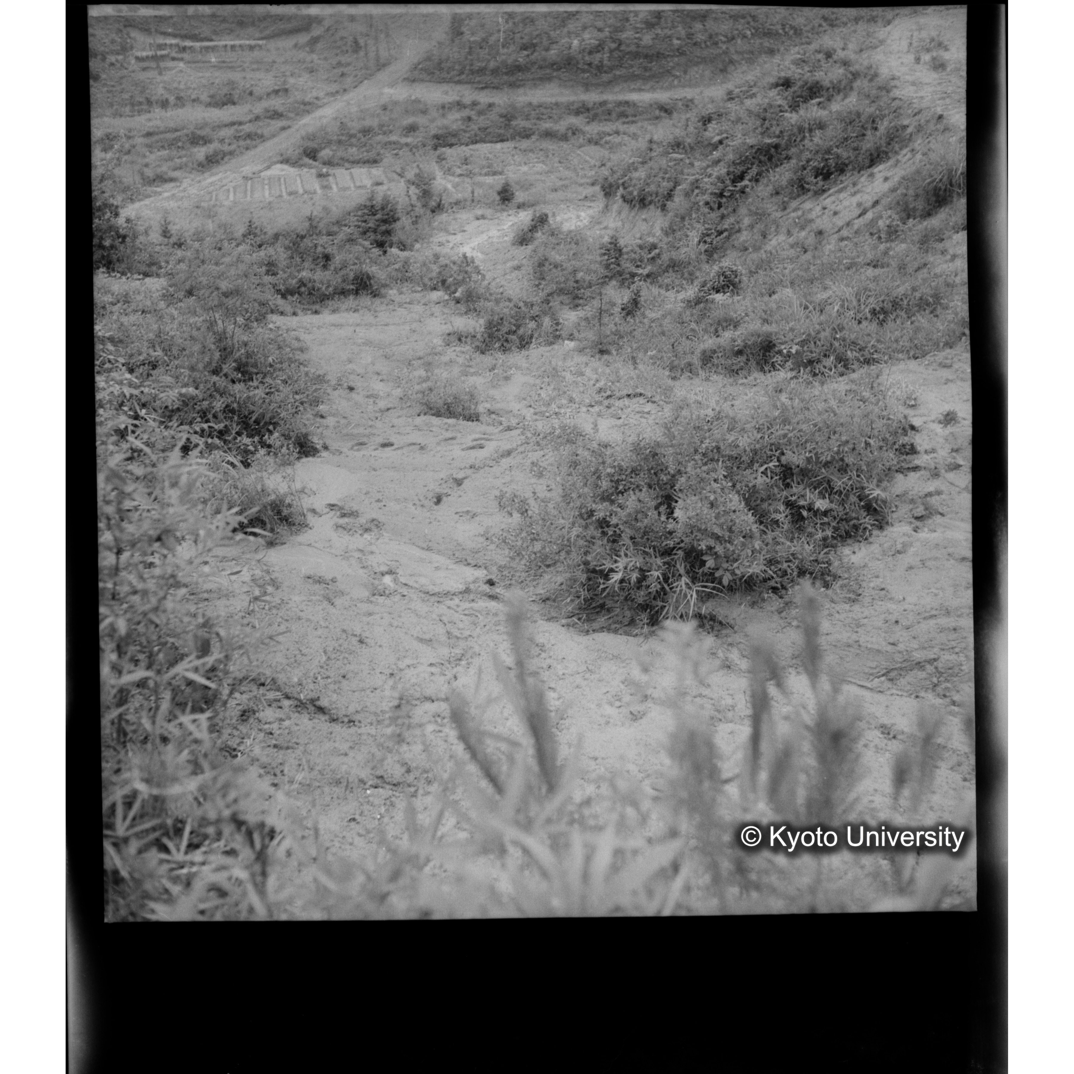 〔豪雨被害状況写真〕 (1)