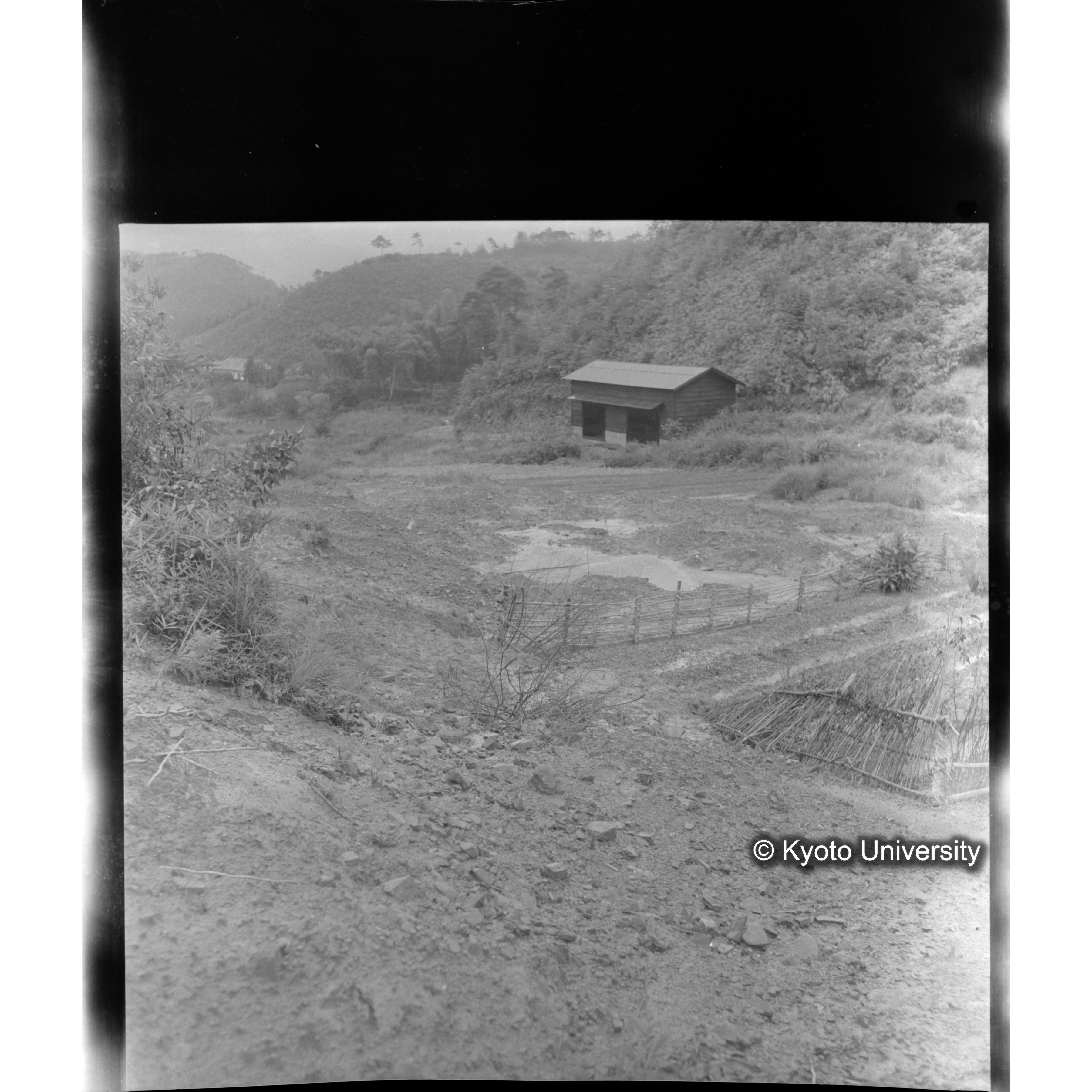 〔昭和26年度水害状況　泥砂の氾濫する第二苗圃〕 (1)