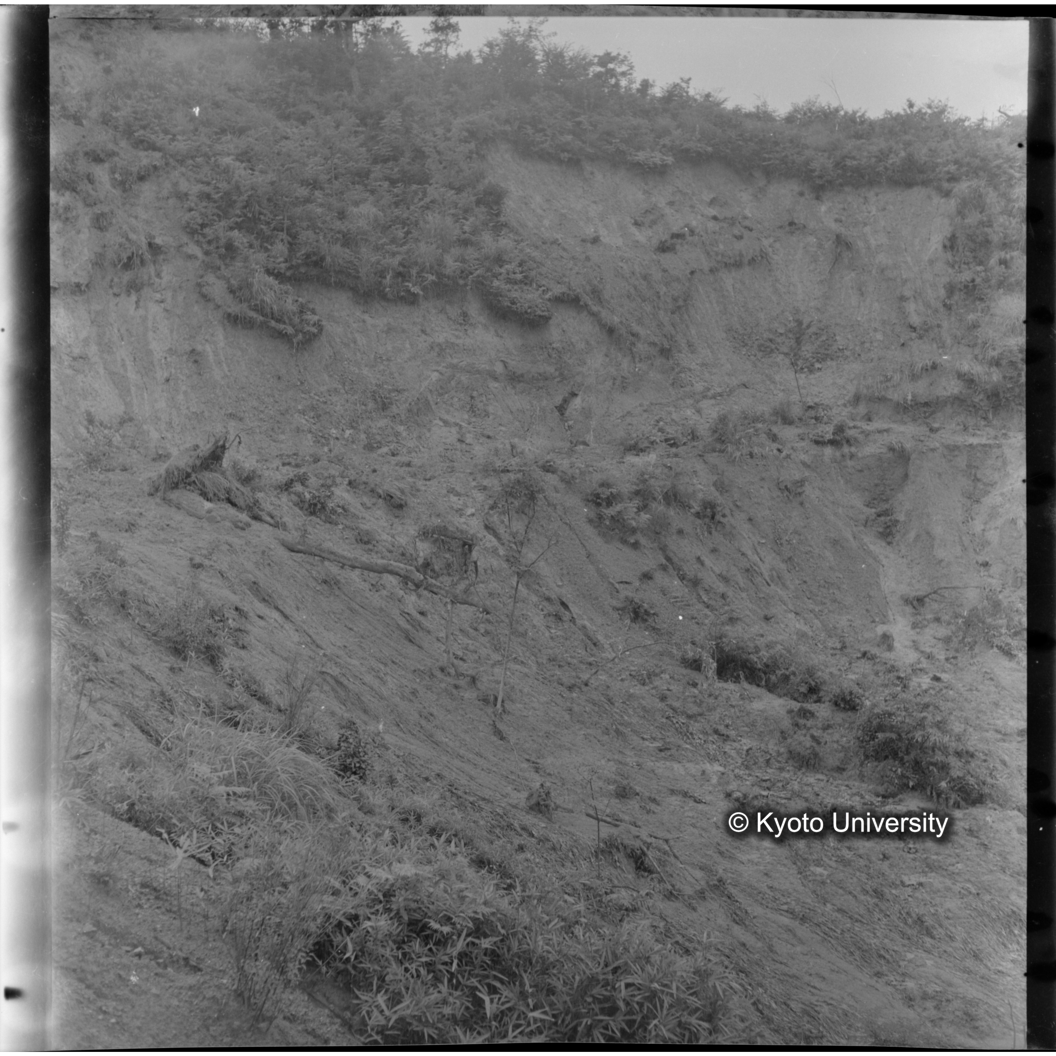 〔昭和26年度水害状況　林地の崩壊〕 (1)