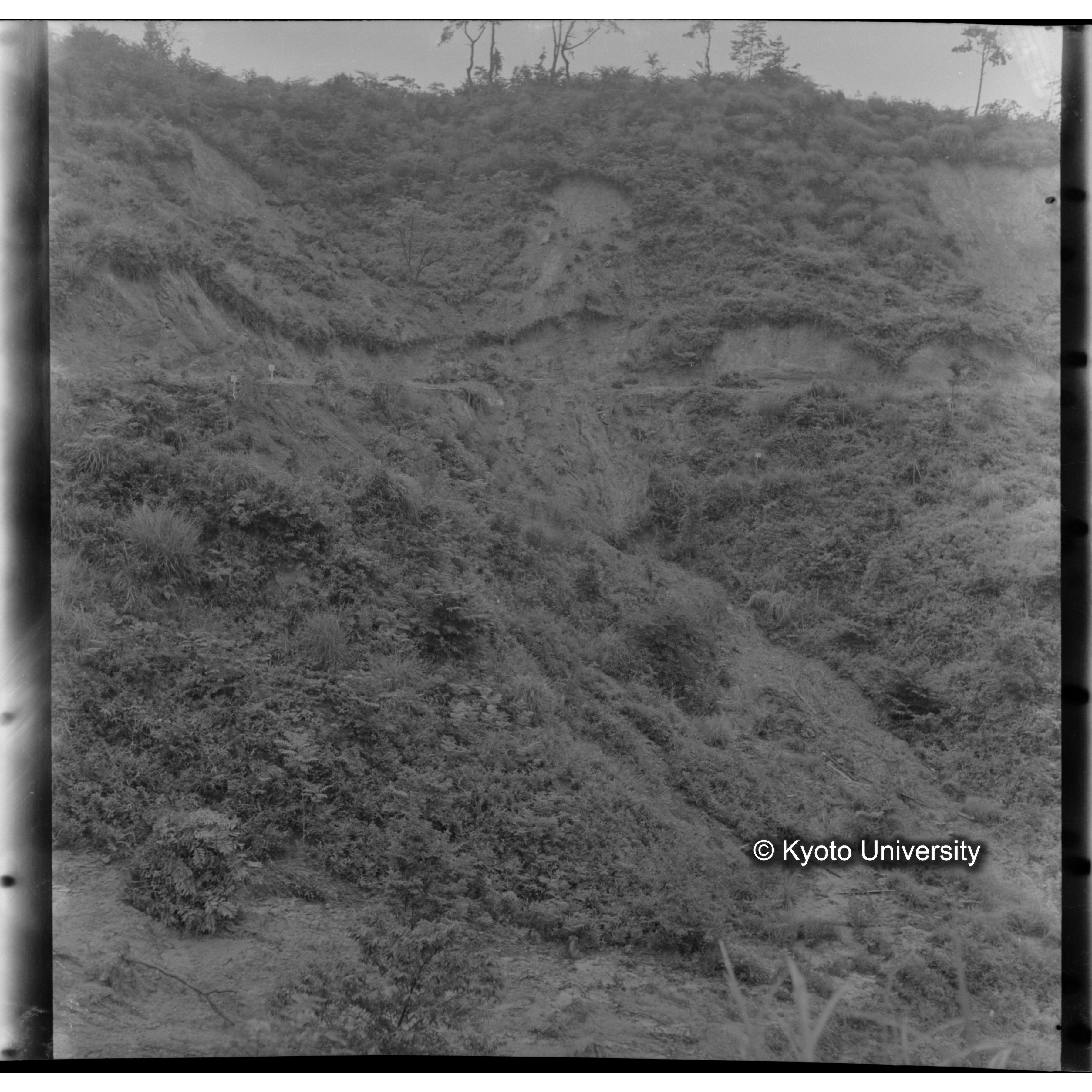 〔豪雨被害状況写真〕 (1)