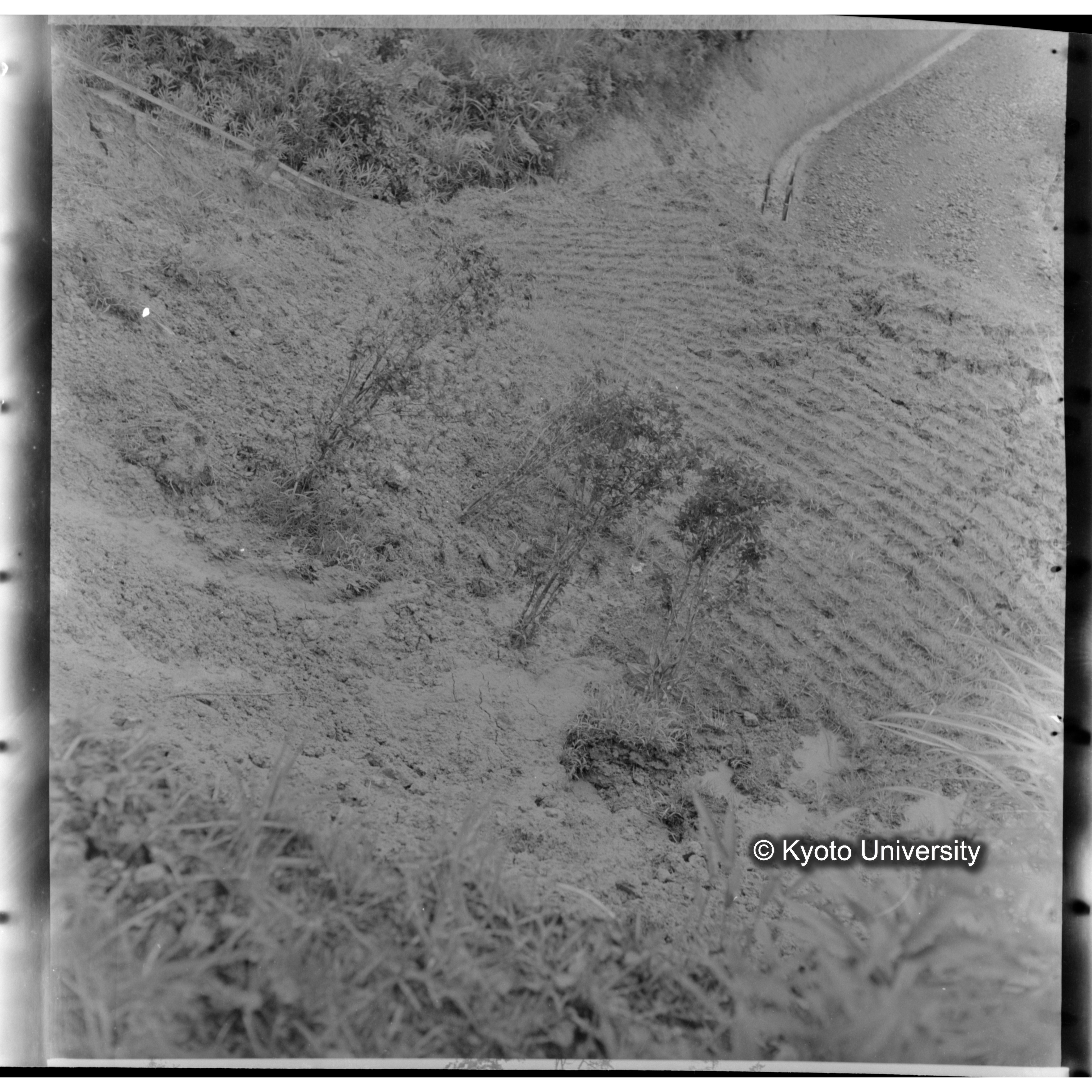 〔57　土堤が車道に崩れ落ちた状態 8〕 (1)