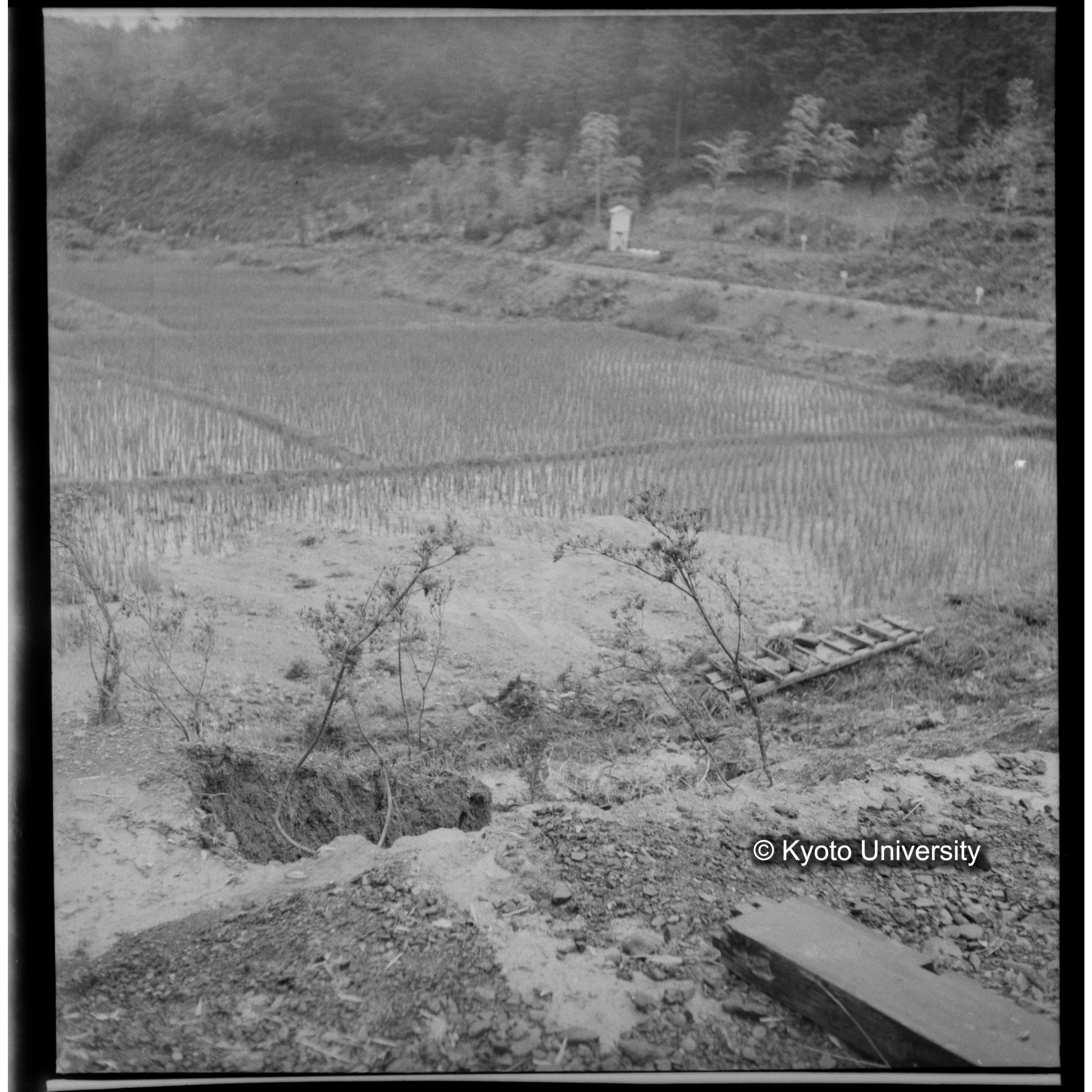 〔豪雨被害状況写真〕 (1)