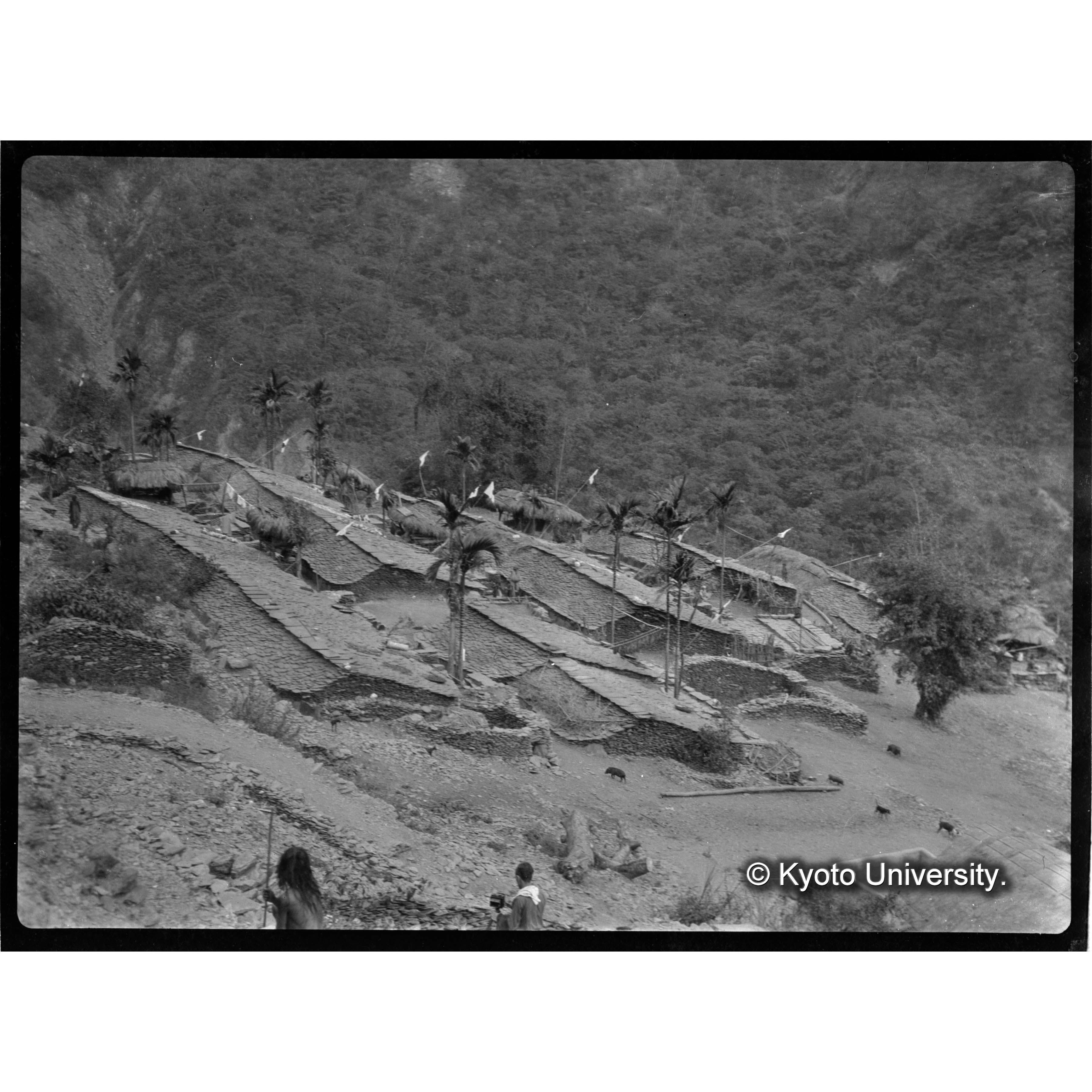 マガ社の全景 (1)