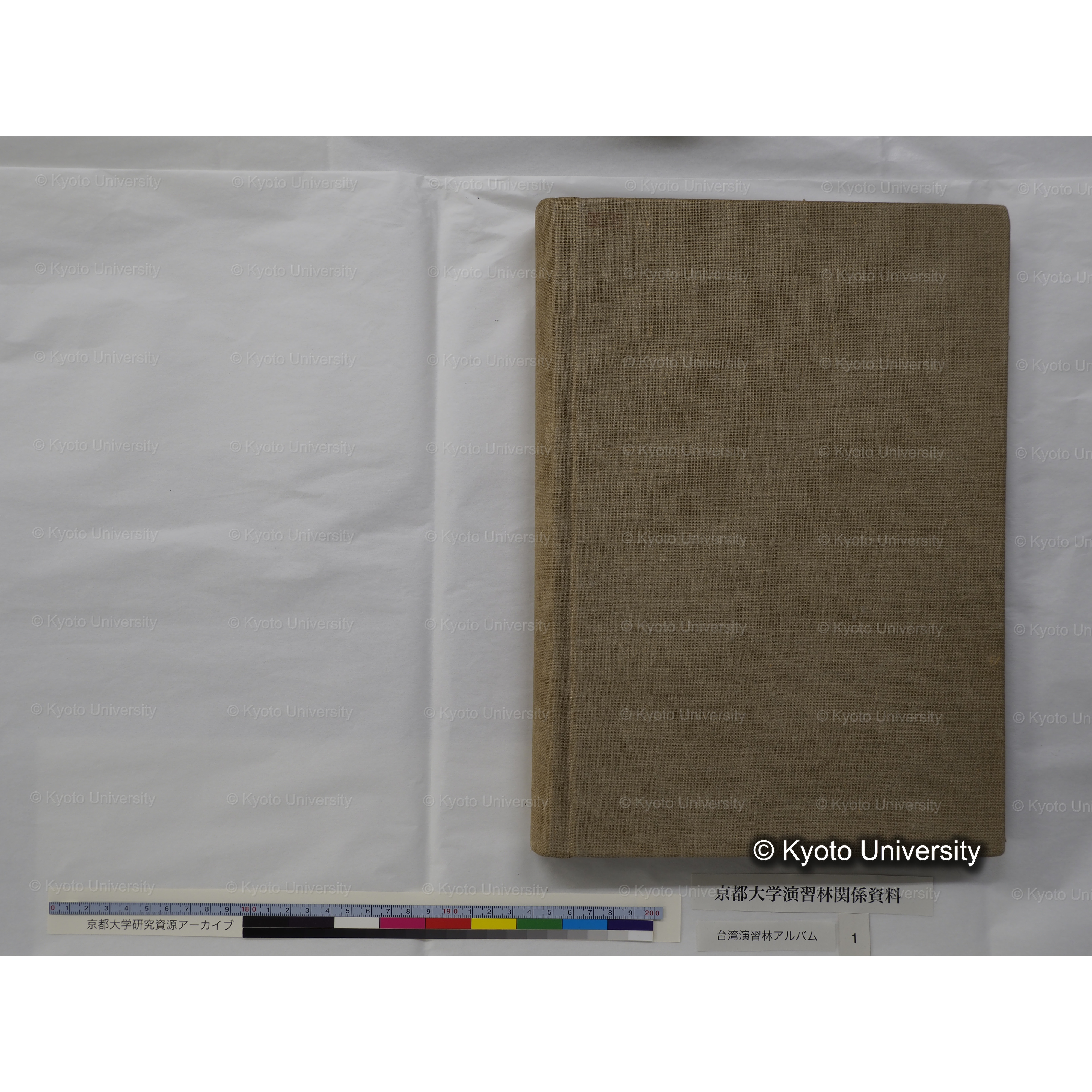 [台湾演習林アルバム(茶色表紙)] (1)