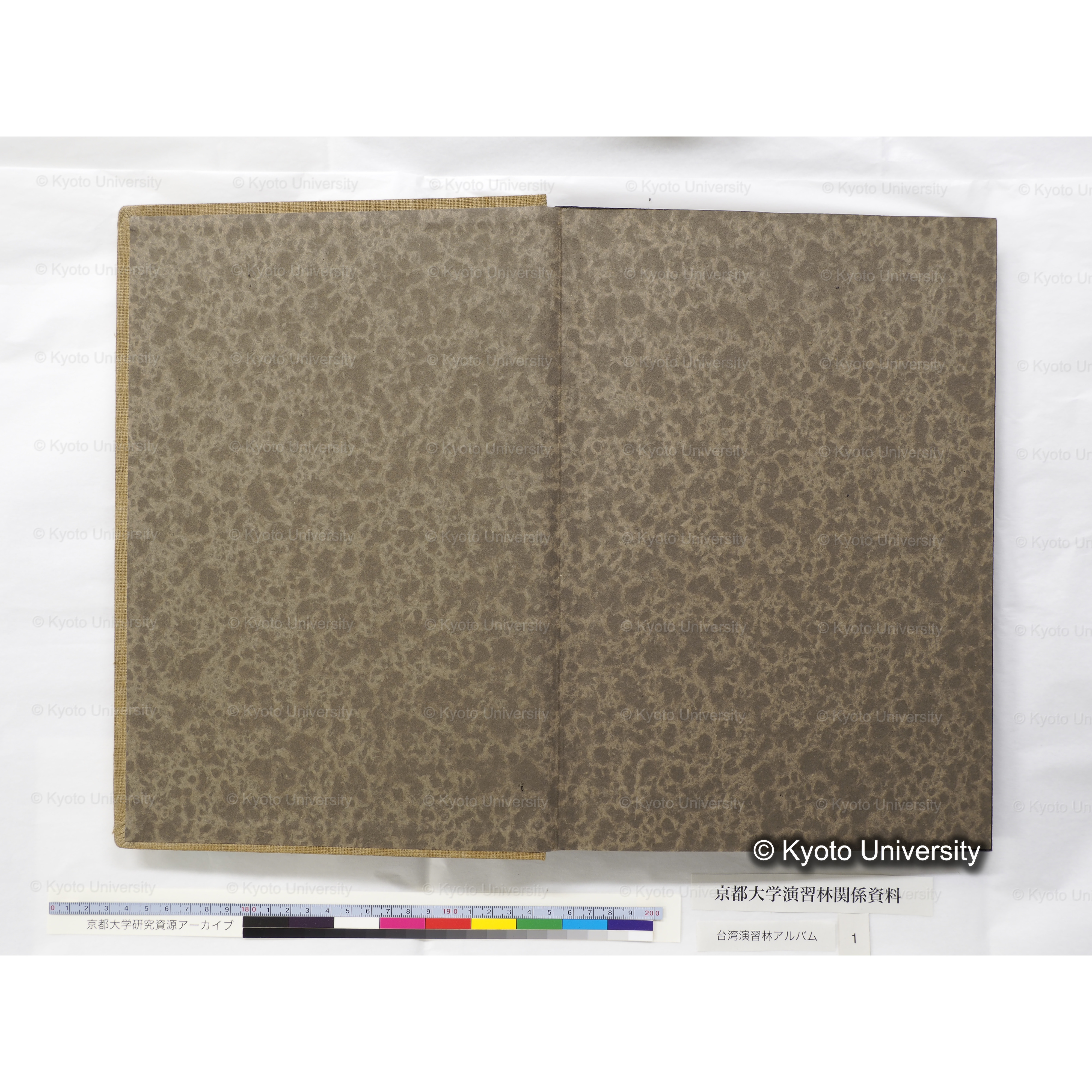 [台湾演習林アルバム(茶色表紙)] (2)