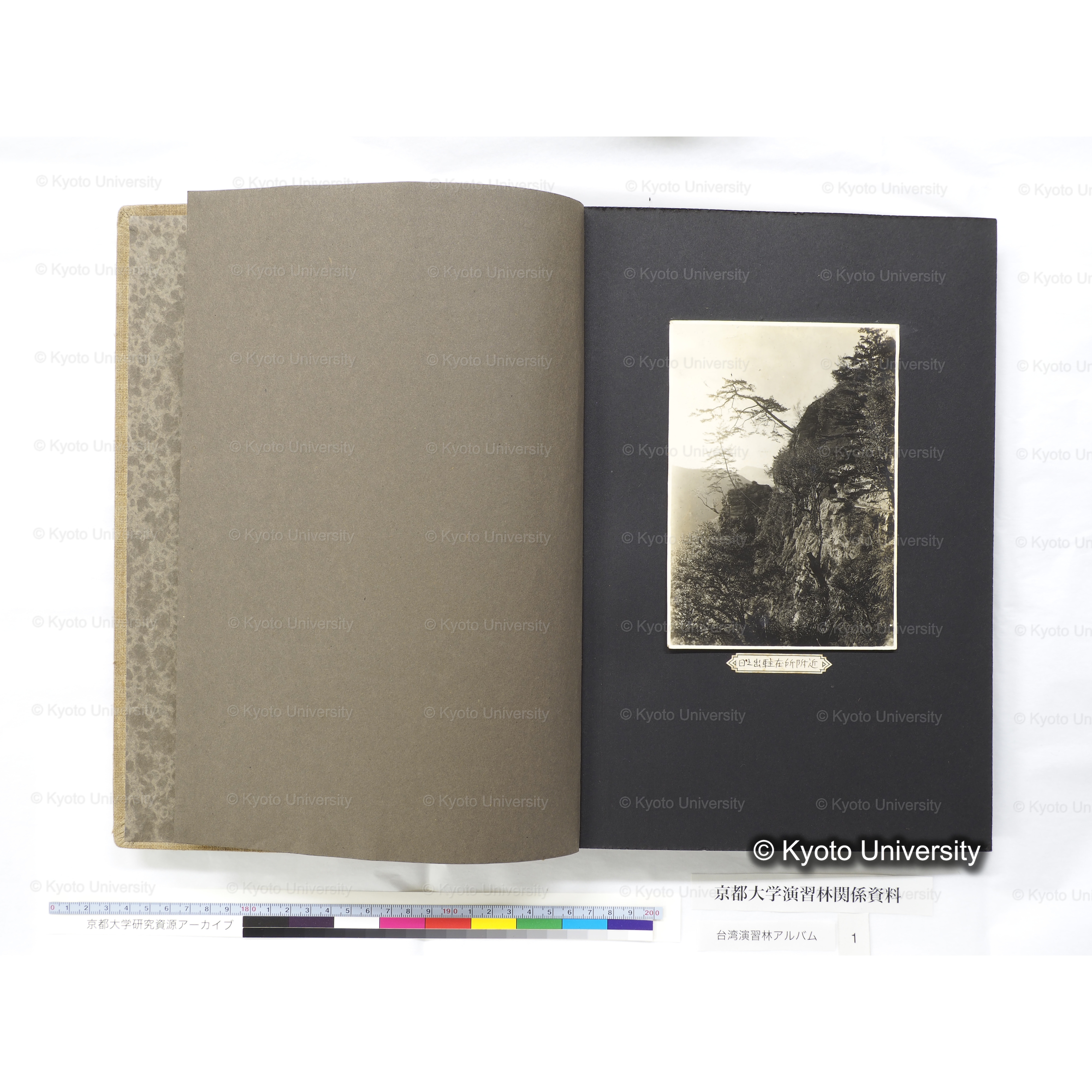 [台湾演習林アルバム(茶色表紙)] (3)