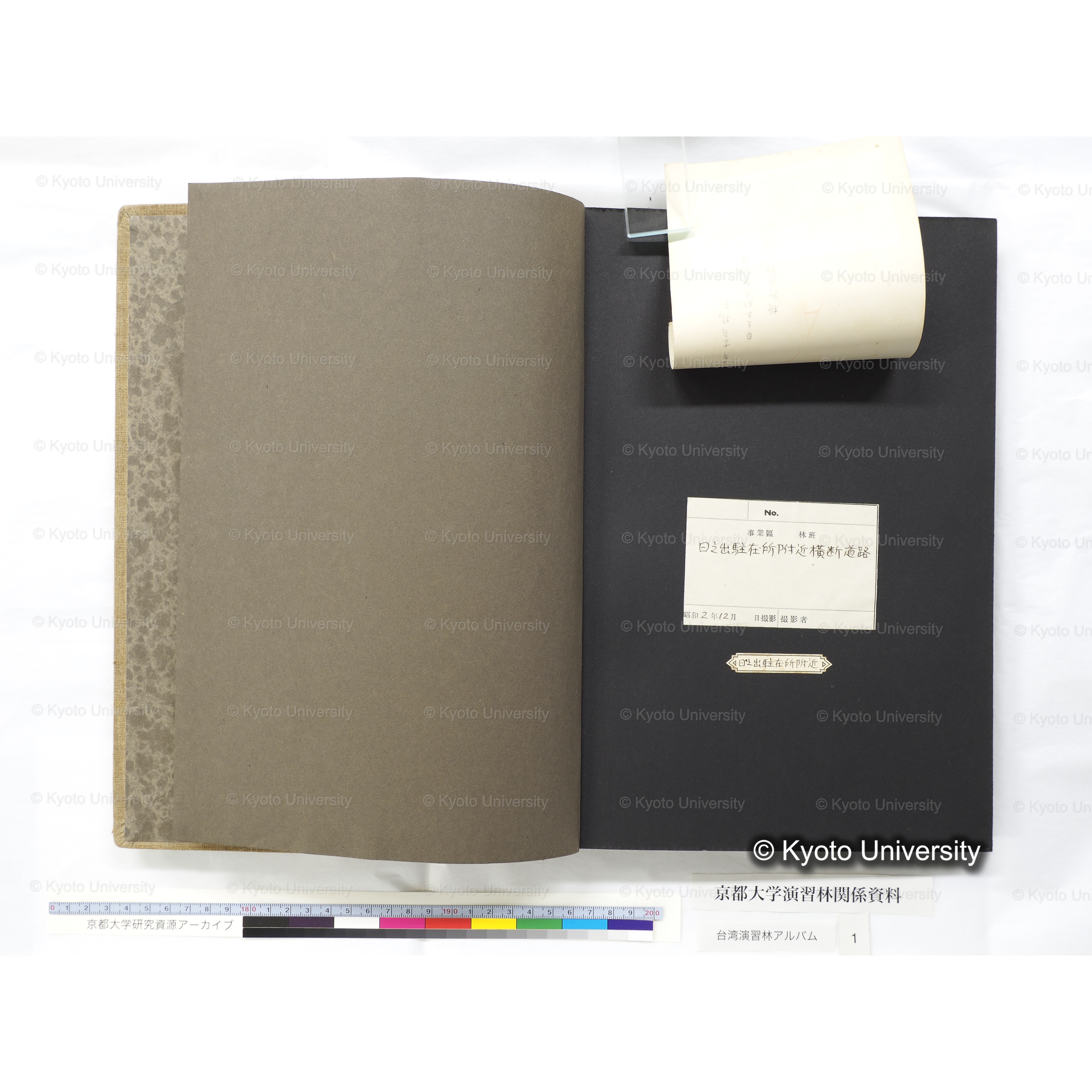 [台湾演習林アルバム(茶色表紙)] (4)