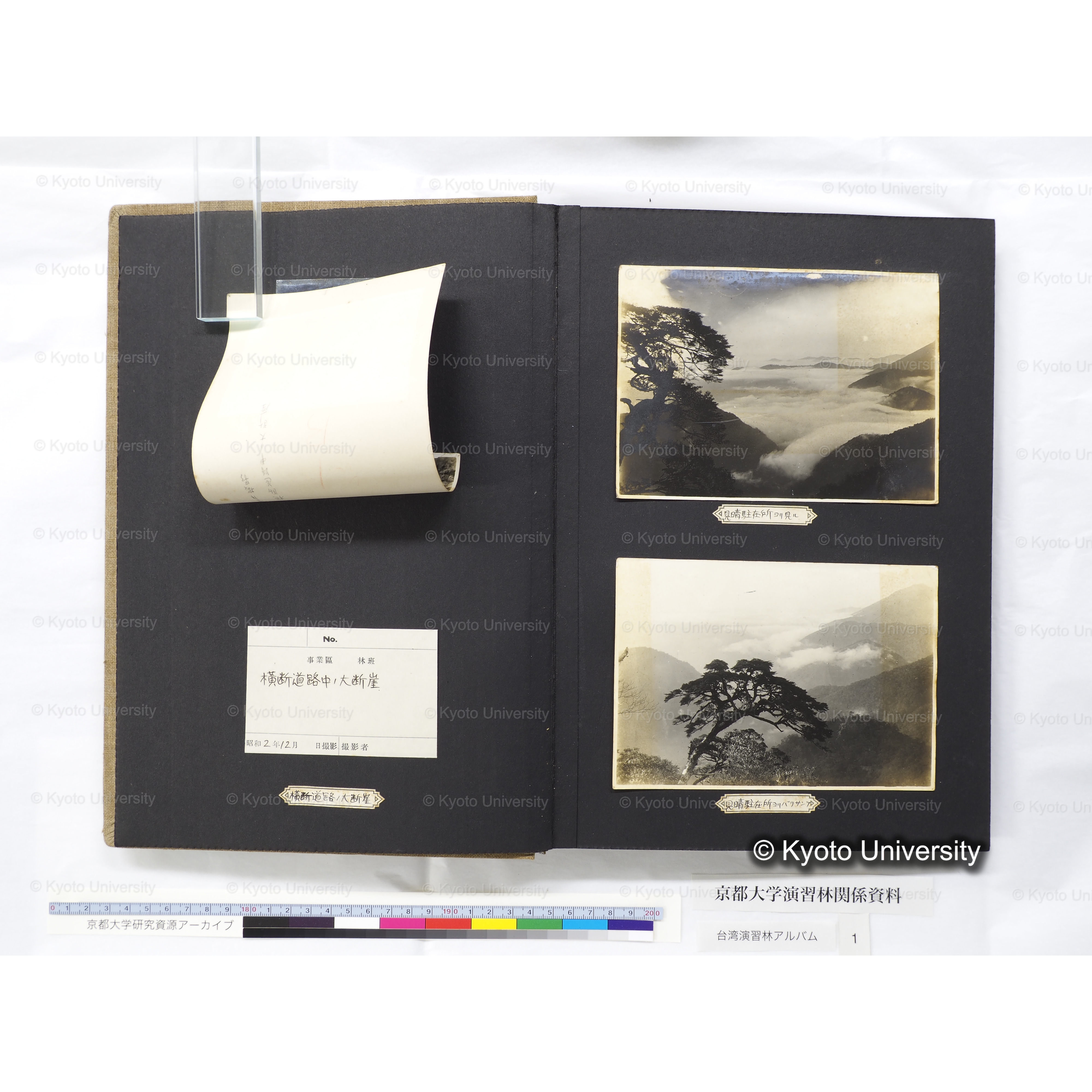 [台湾演習林アルバム(茶色表紙)] (7)
