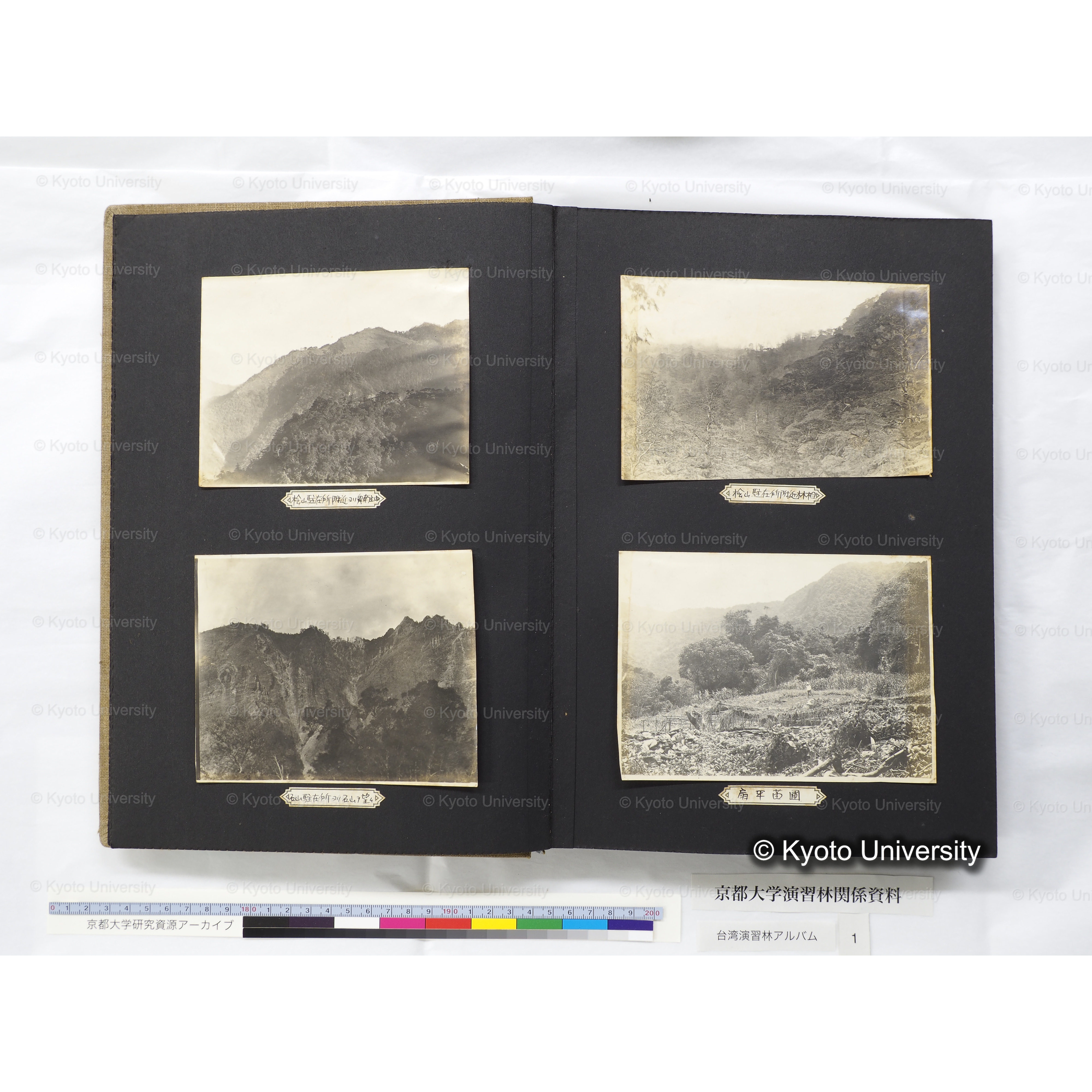 [台湾演習林アルバム(茶色表紙)] (10)