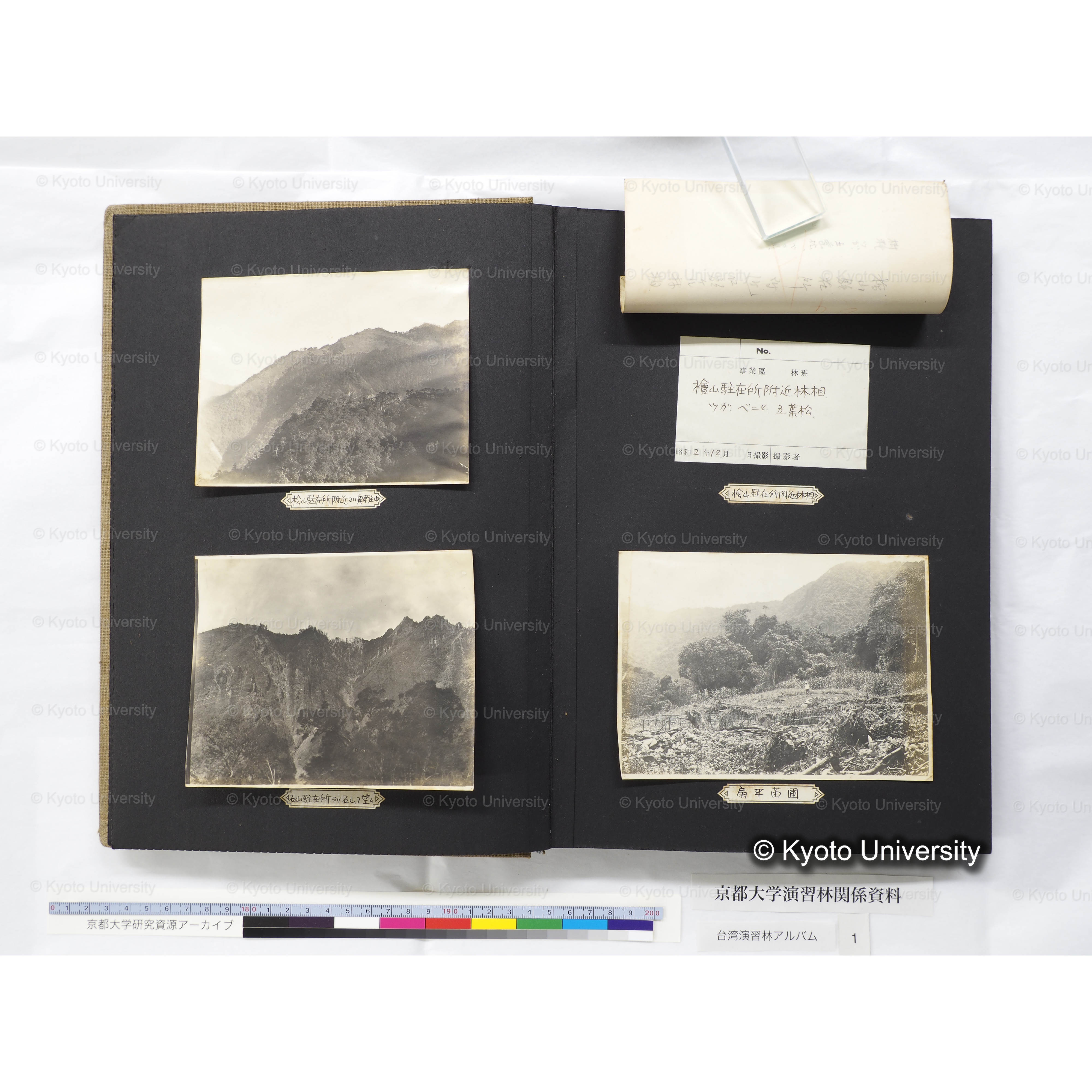 [台湾演習林アルバム(茶色表紙)] (13)
