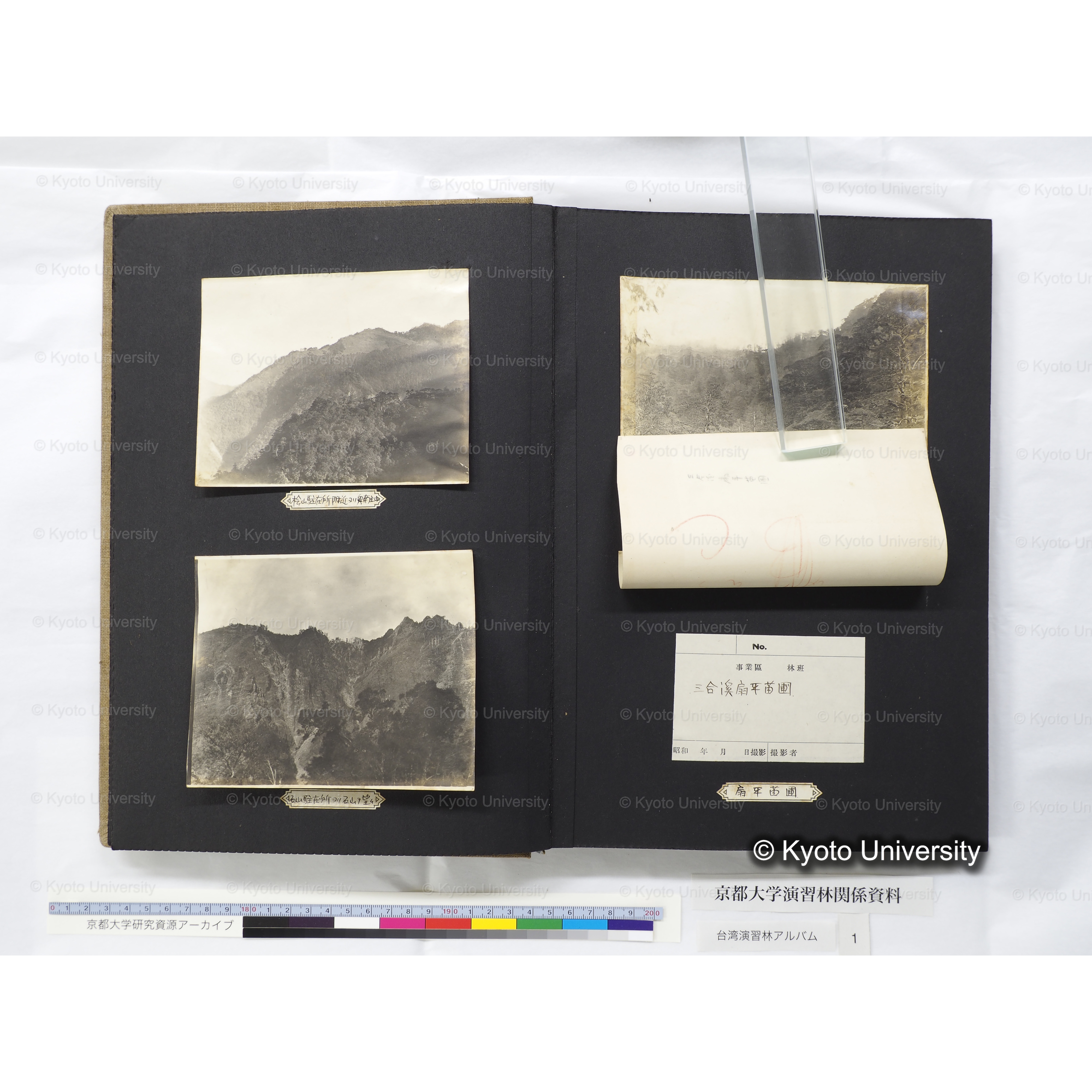 [台湾演習林アルバム(茶色表紙)] (14)