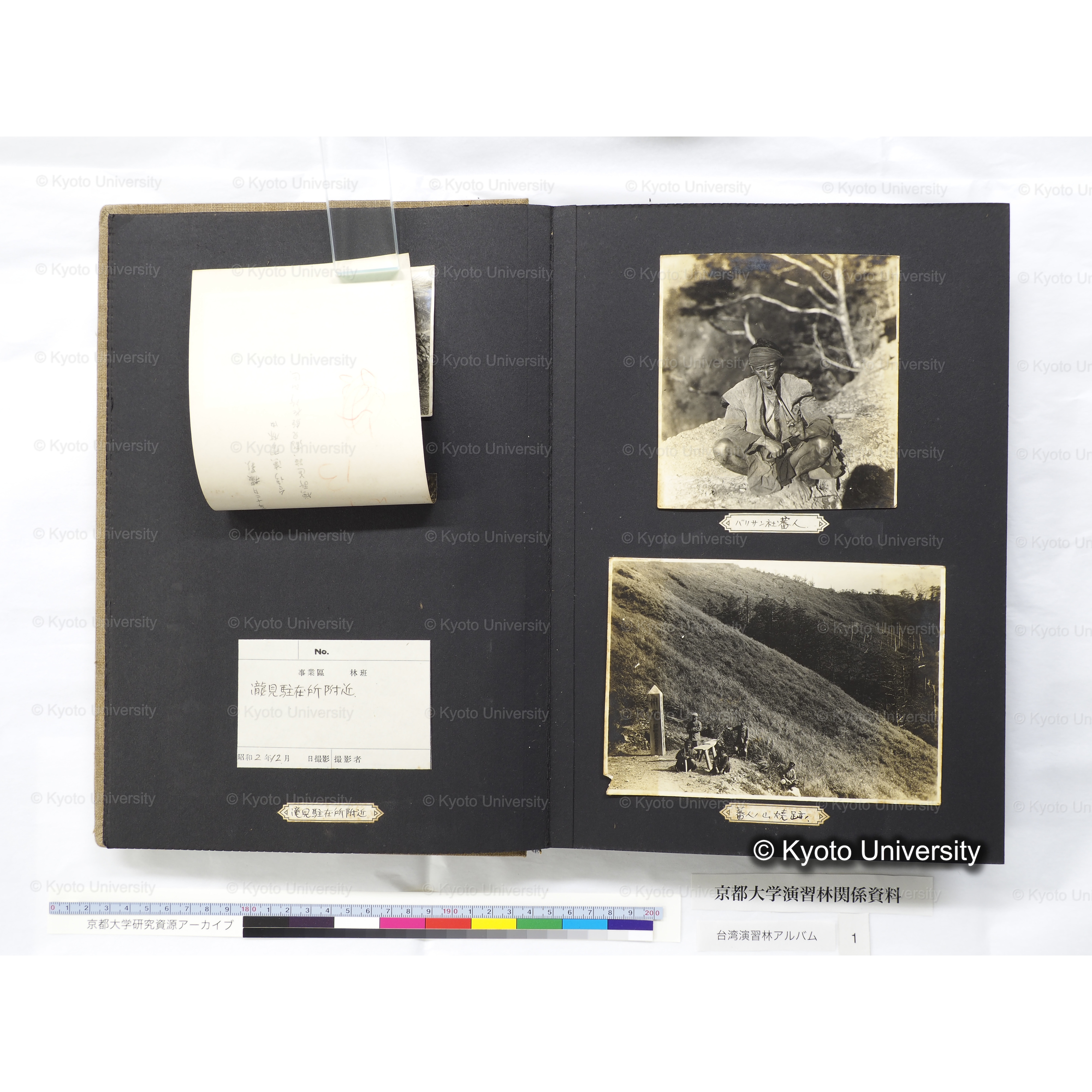 [台湾演習林アルバム(茶色表紙)] (17)