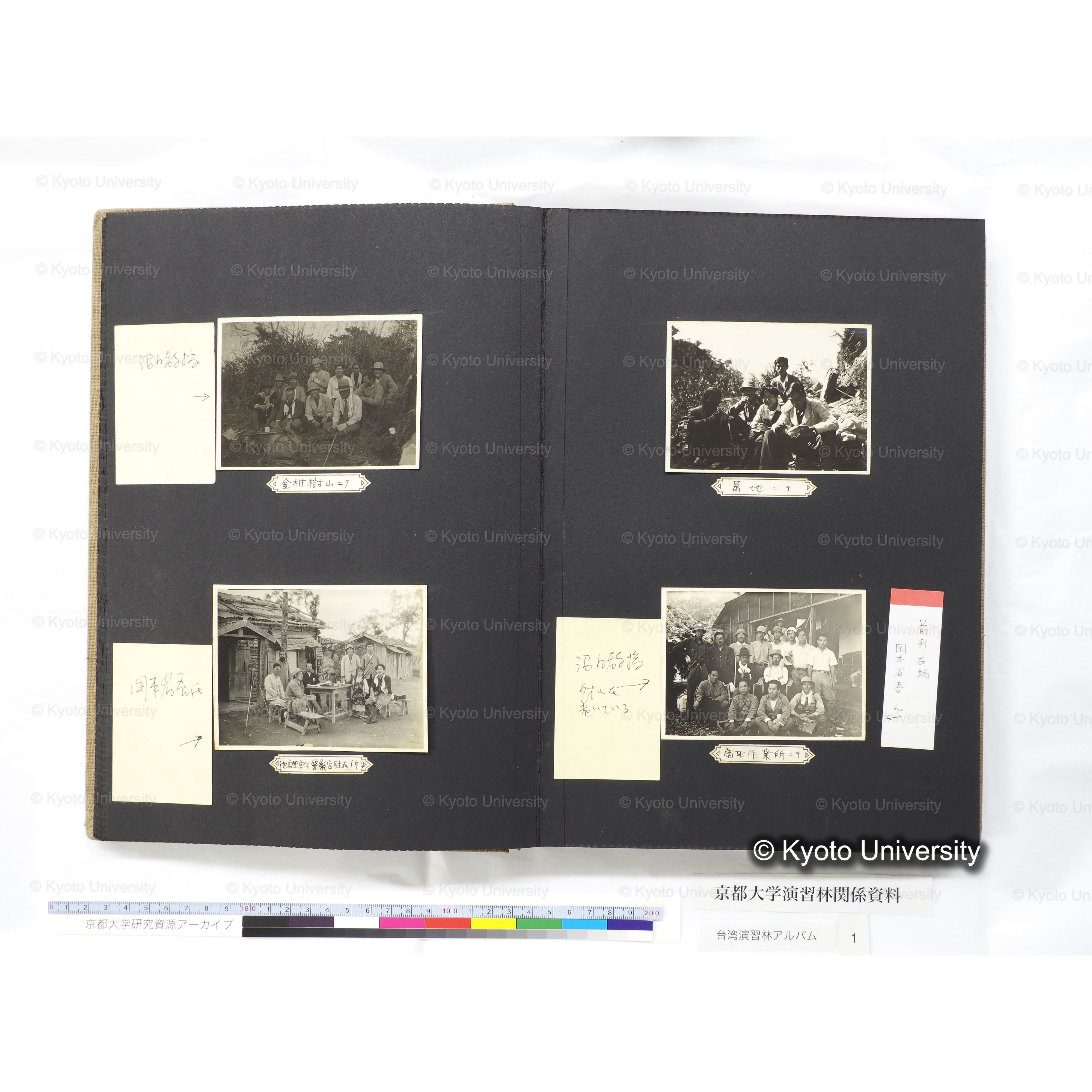 [台湾演習林アルバム(茶色表紙)] (35)