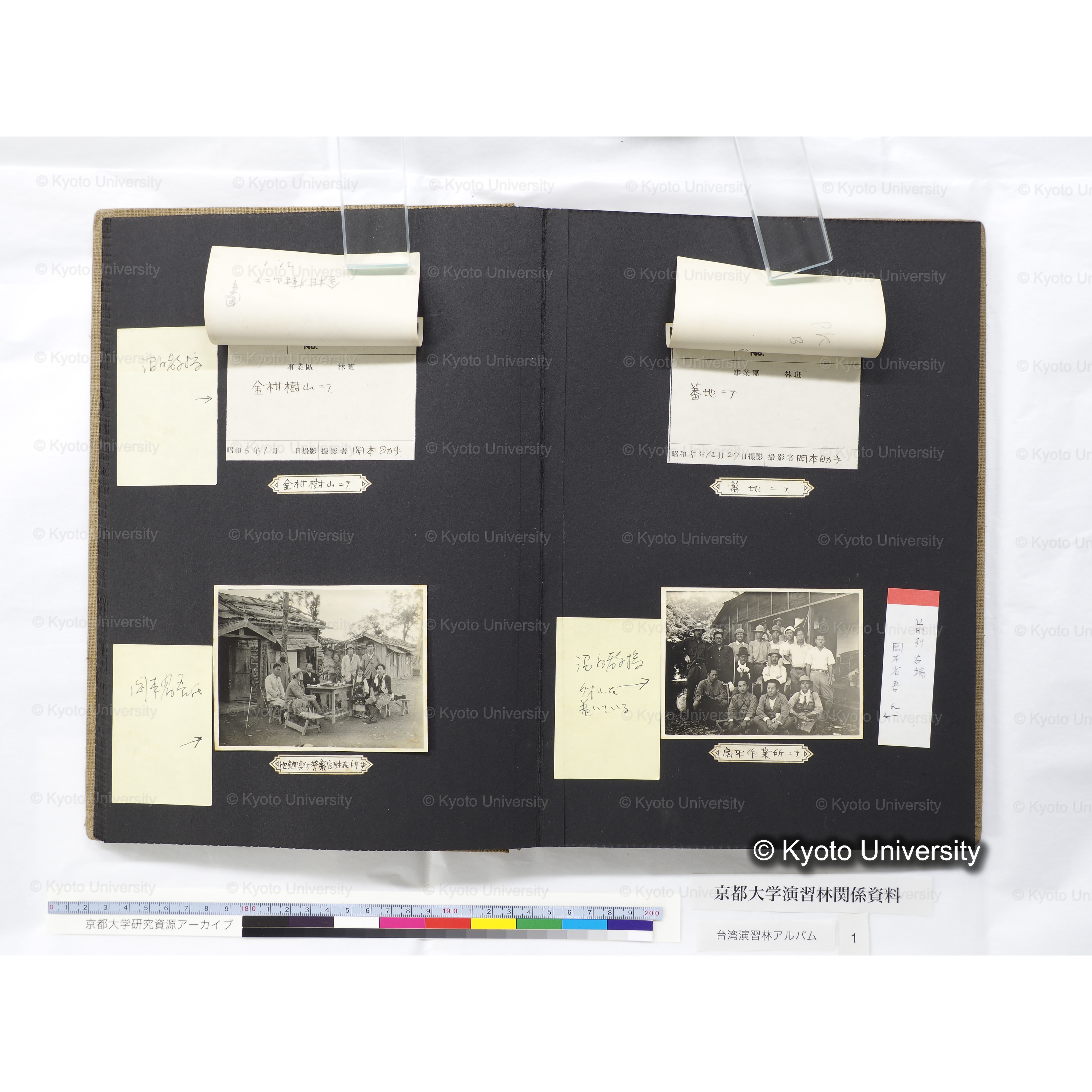 [台湾演習林アルバム(茶色表紙)] (36)