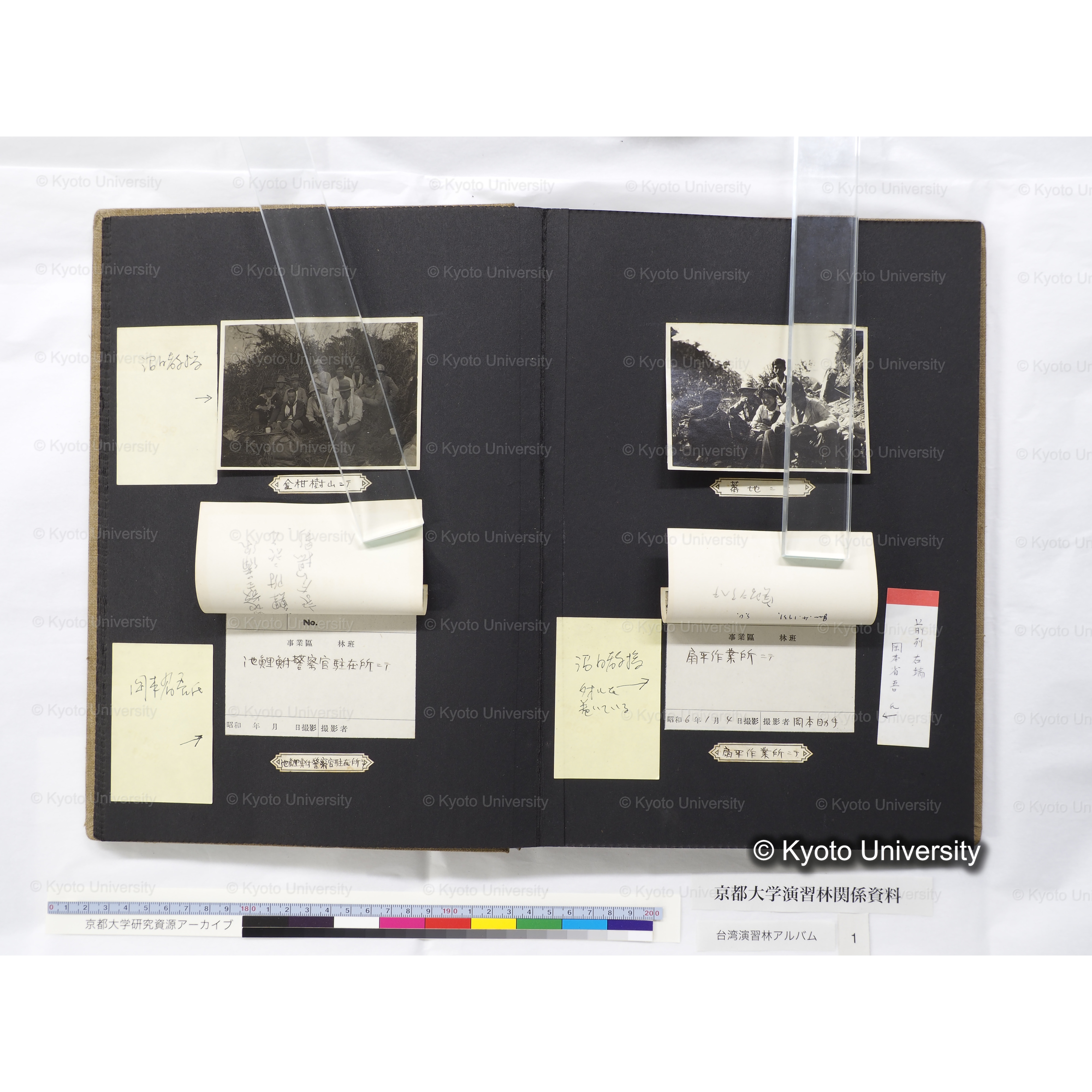 [台湾演習林アルバム(茶色表紙)] (37)