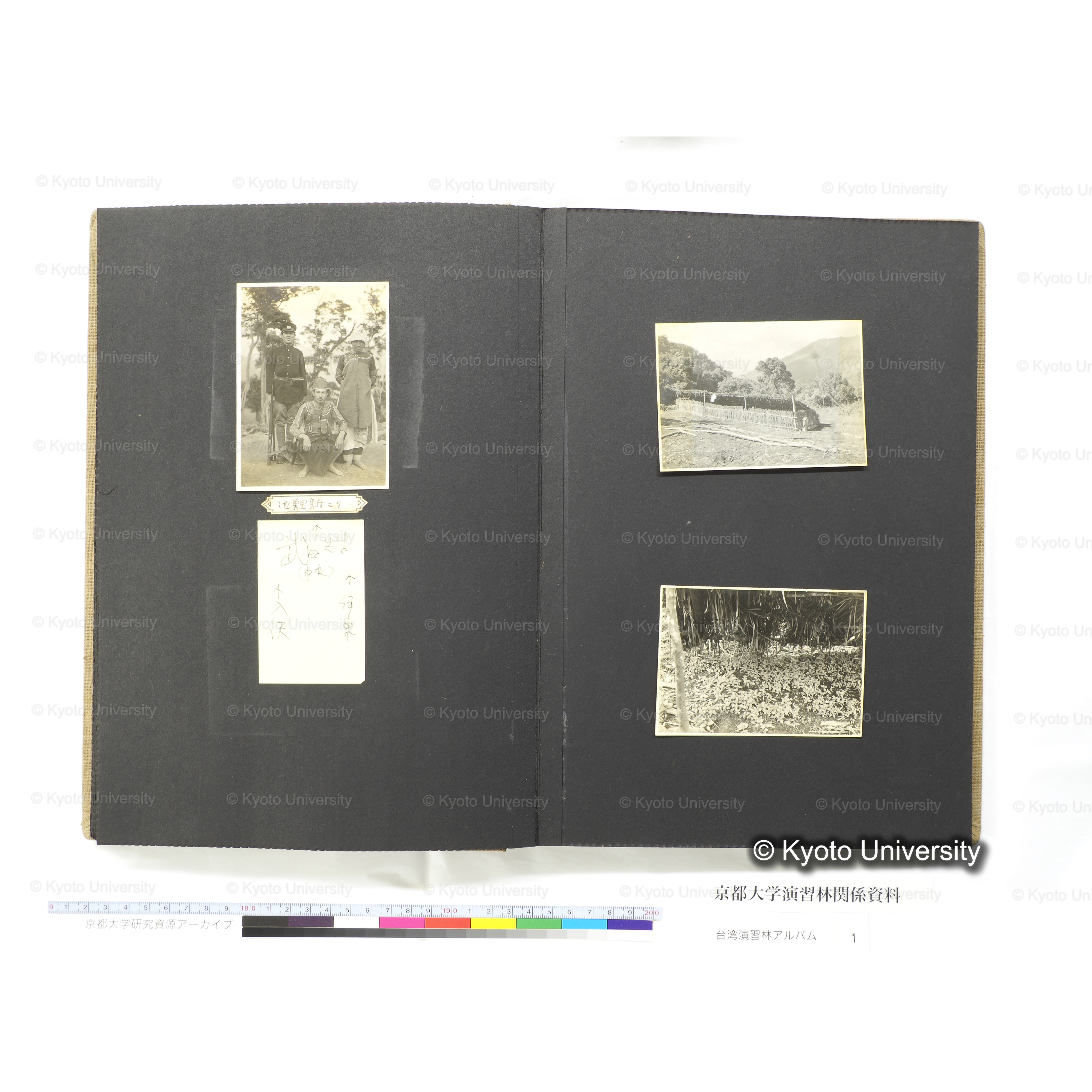 [台湾演習林アルバム(茶色表紙)] (38)