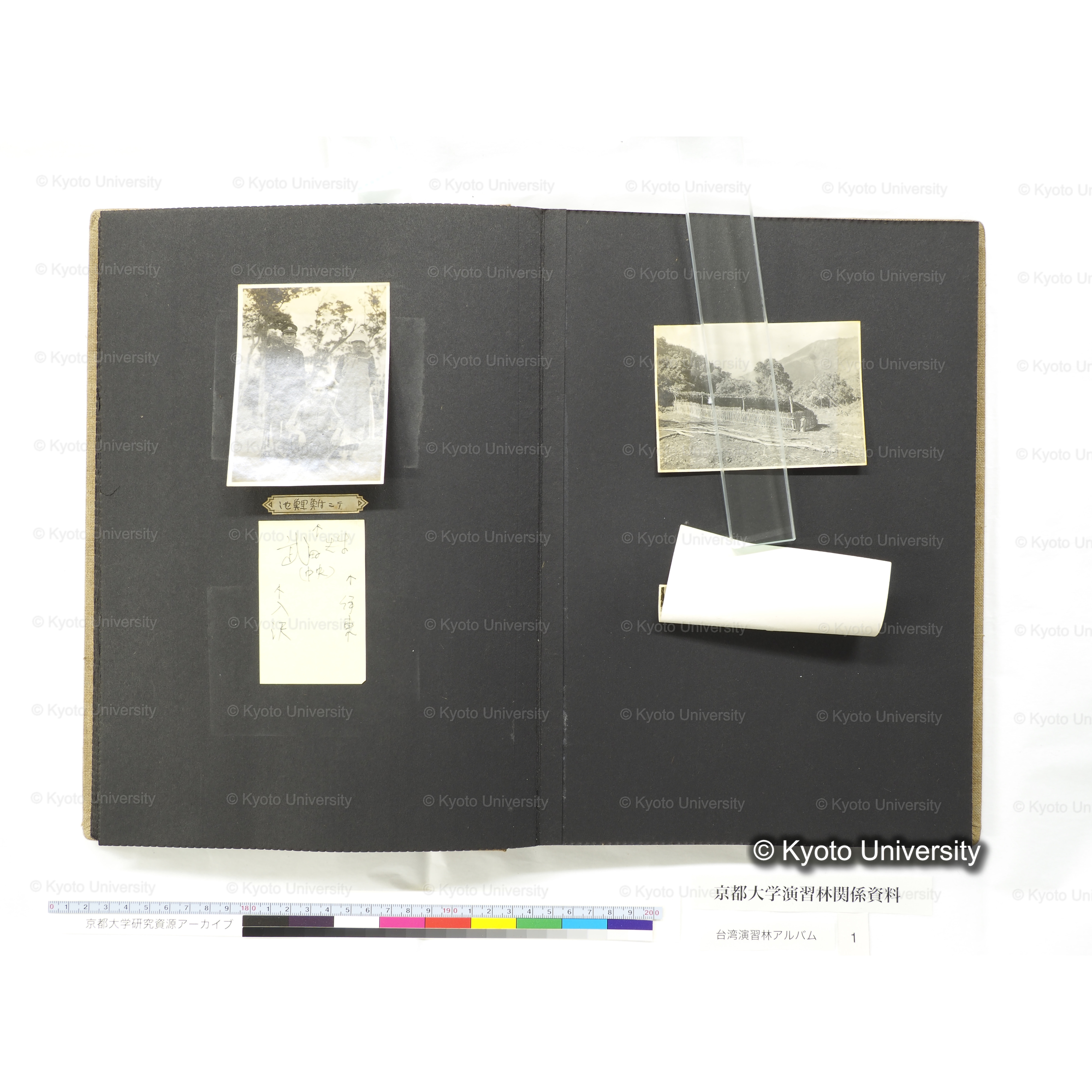 [台湾演習林アルバム(茶色表紙)] (40)