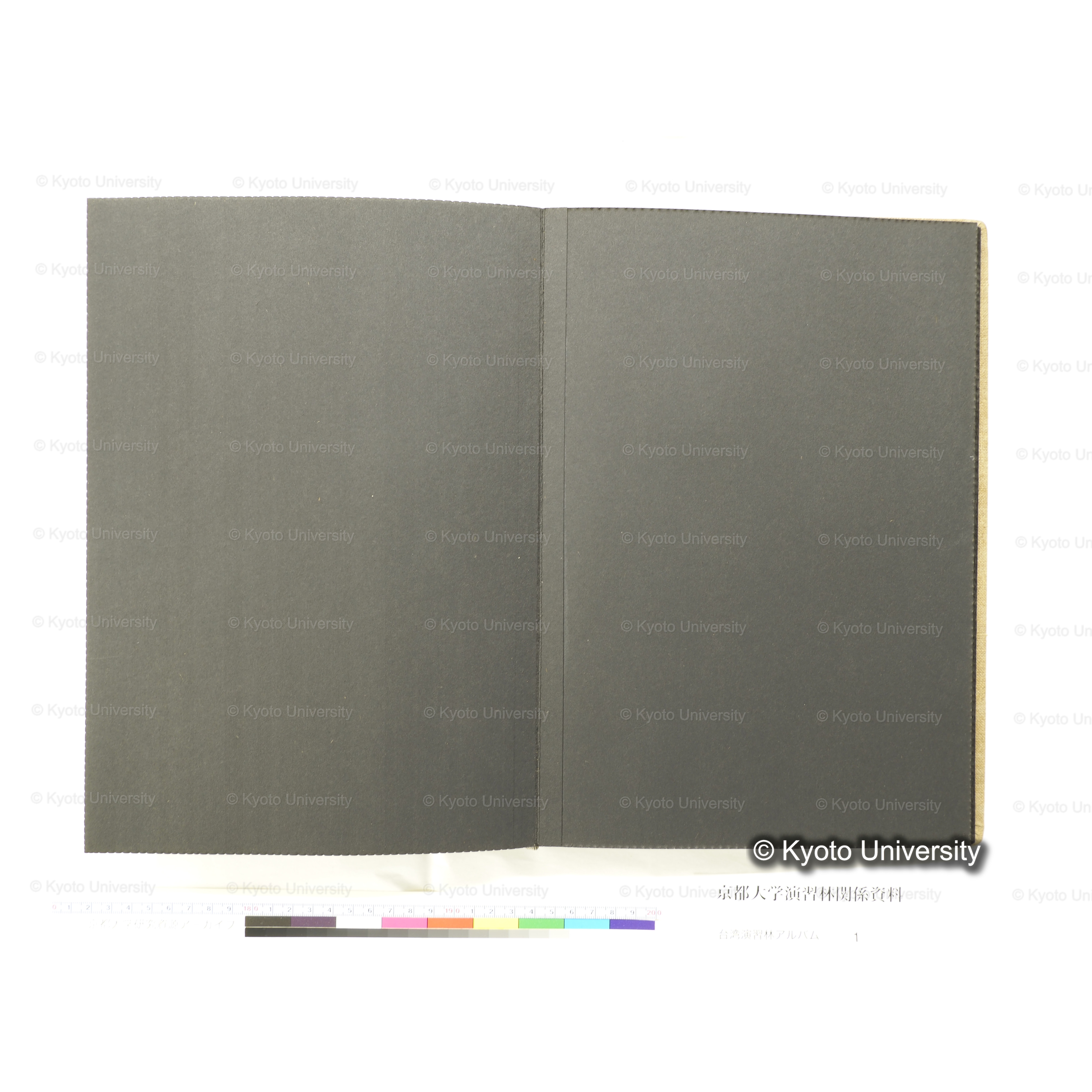 [台湾演習林アルバム(茶色表紙)] (44)