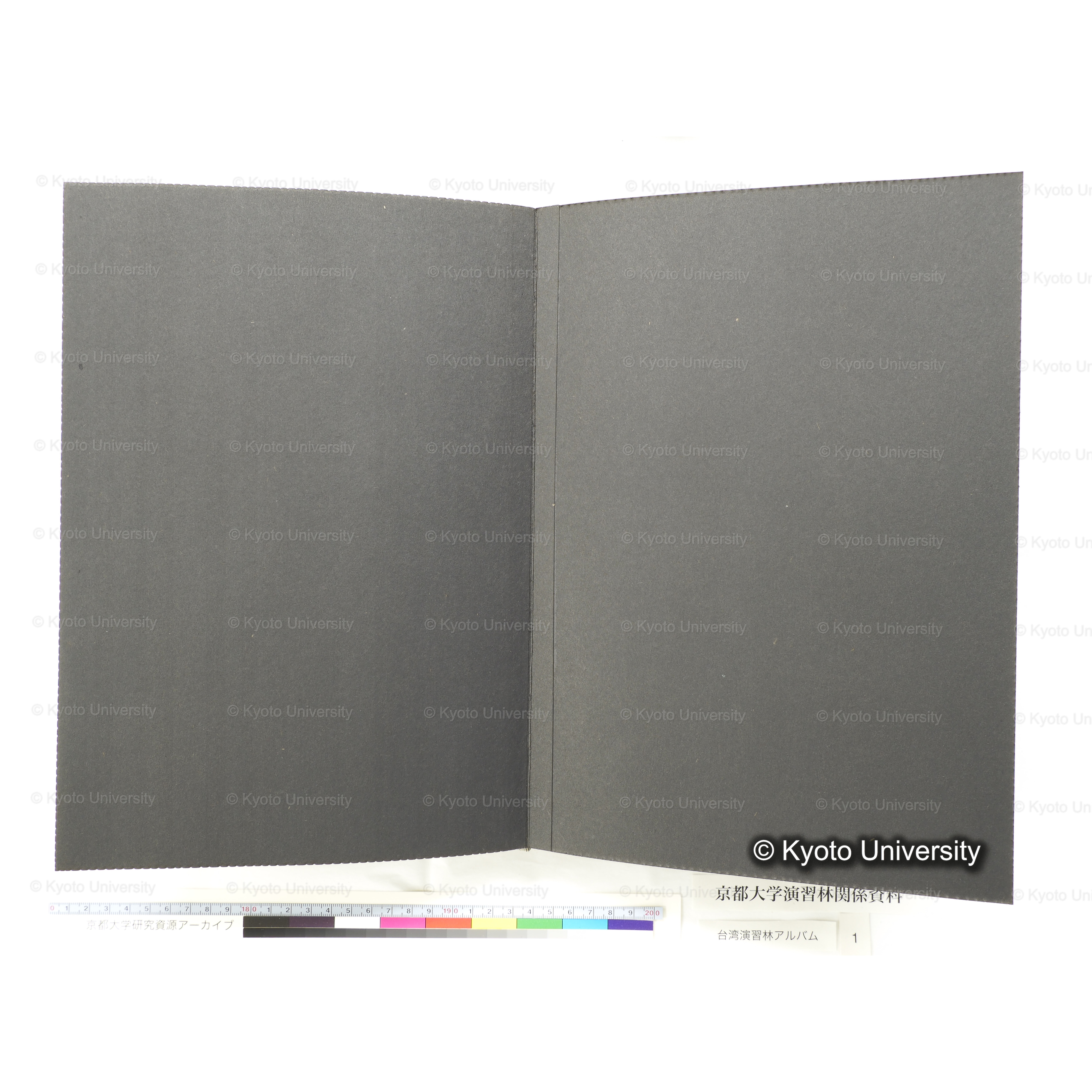 [台湾演習林アルバム(茶色表紙)] (45)