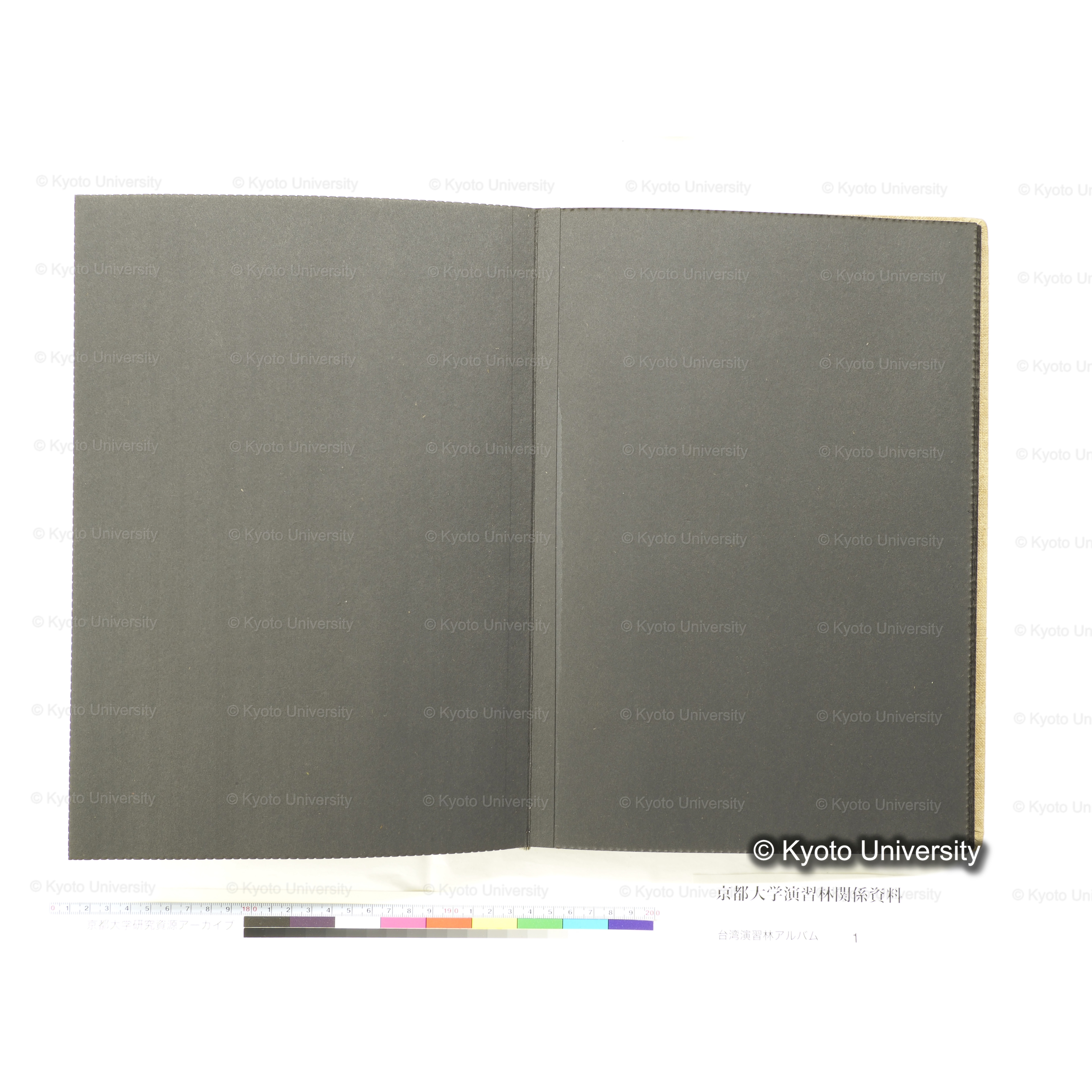 [台湾演習林アルバム(茶色表紙)] (46)