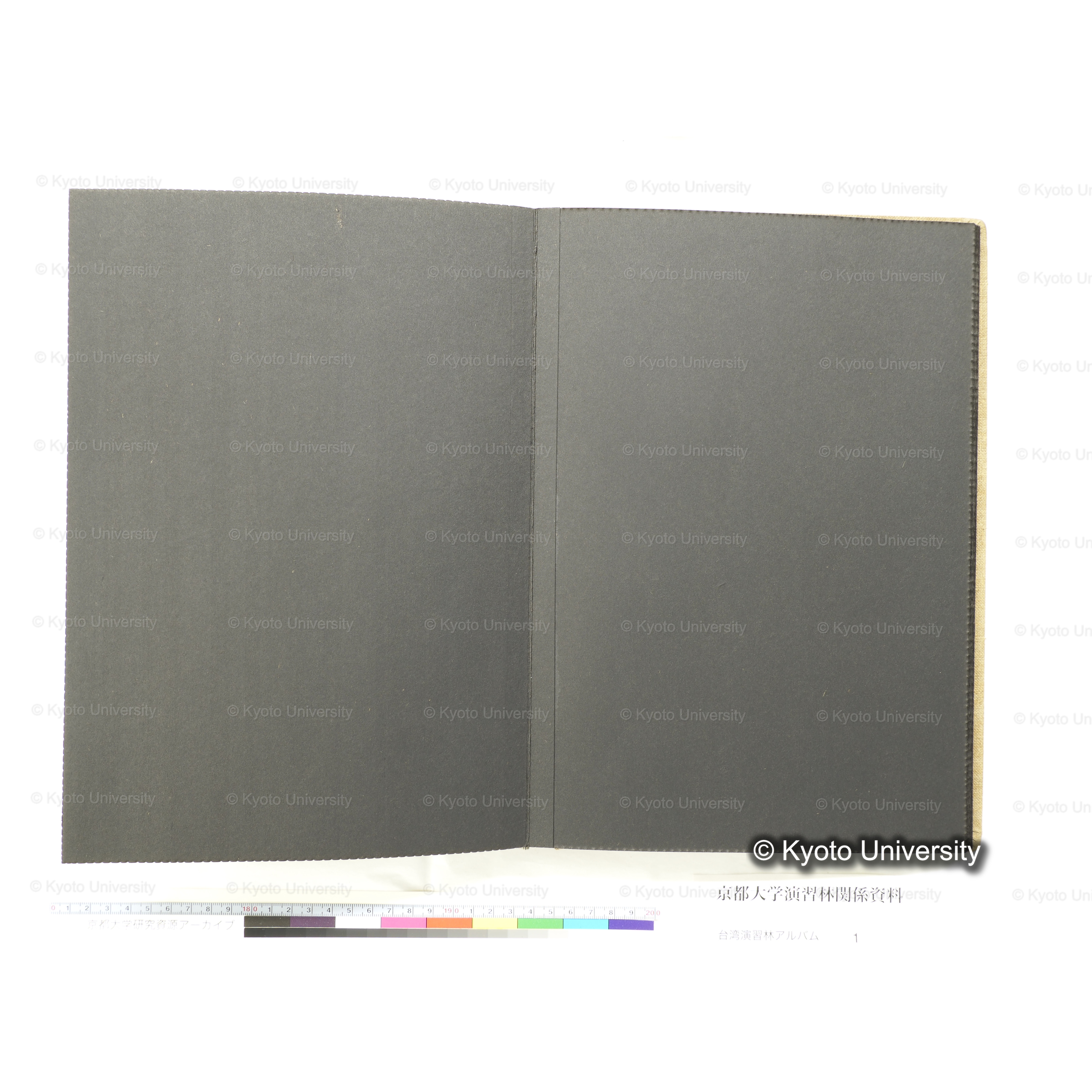 [台湾演習林アルバム(茶色表紙)] (47)