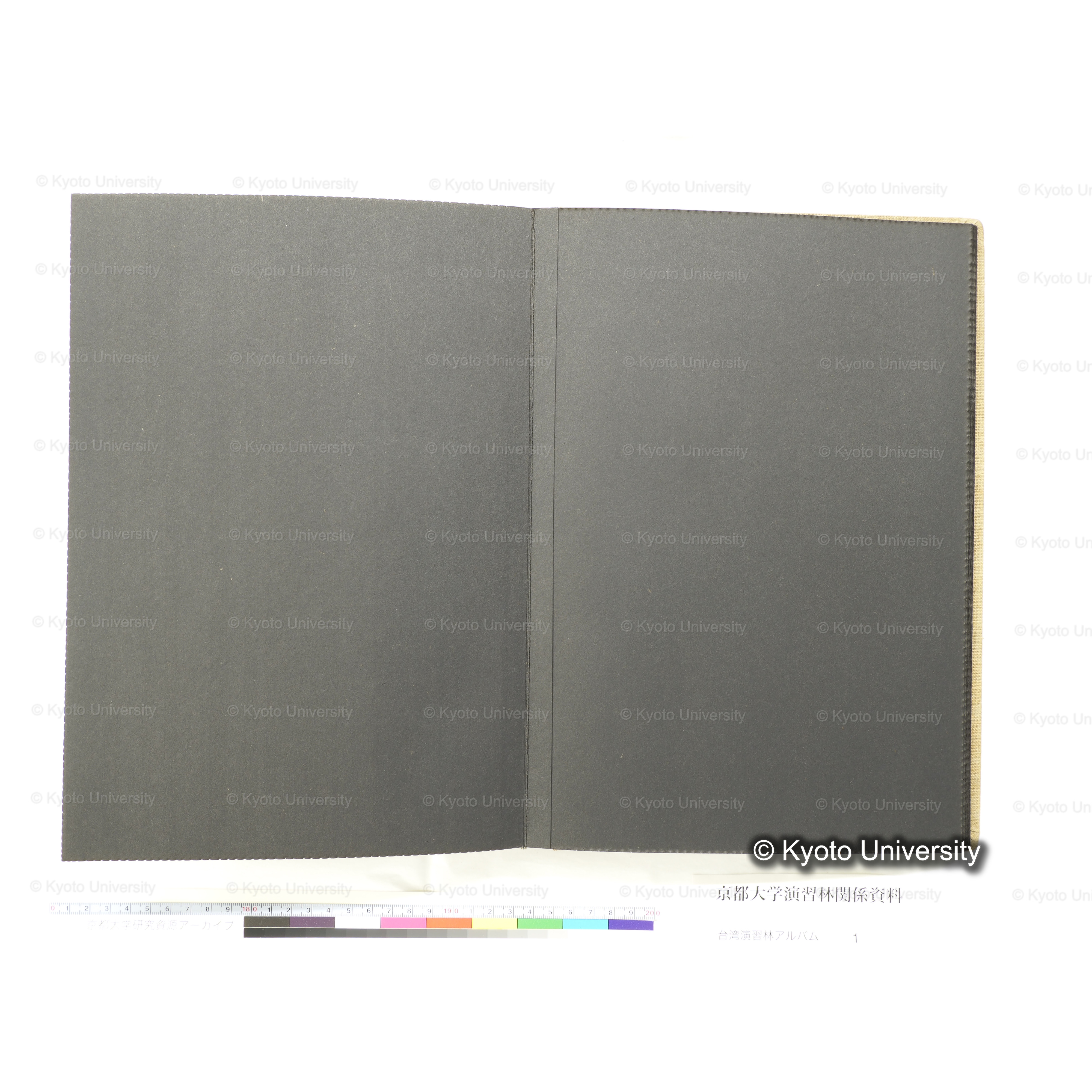 [台湾演習林アルバム(茶色表紙)] (48)