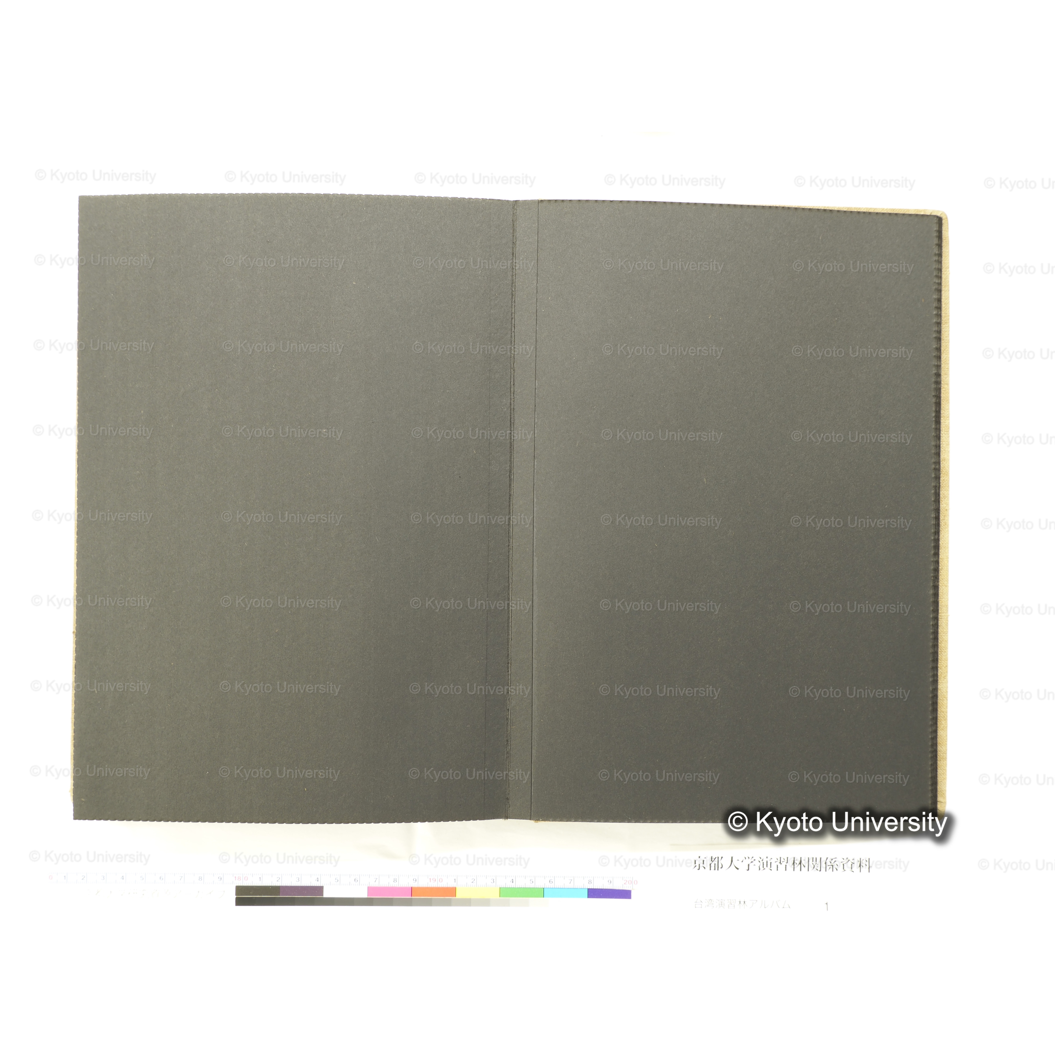 [台湾演習林アルバム(茶色表紙)] (49)