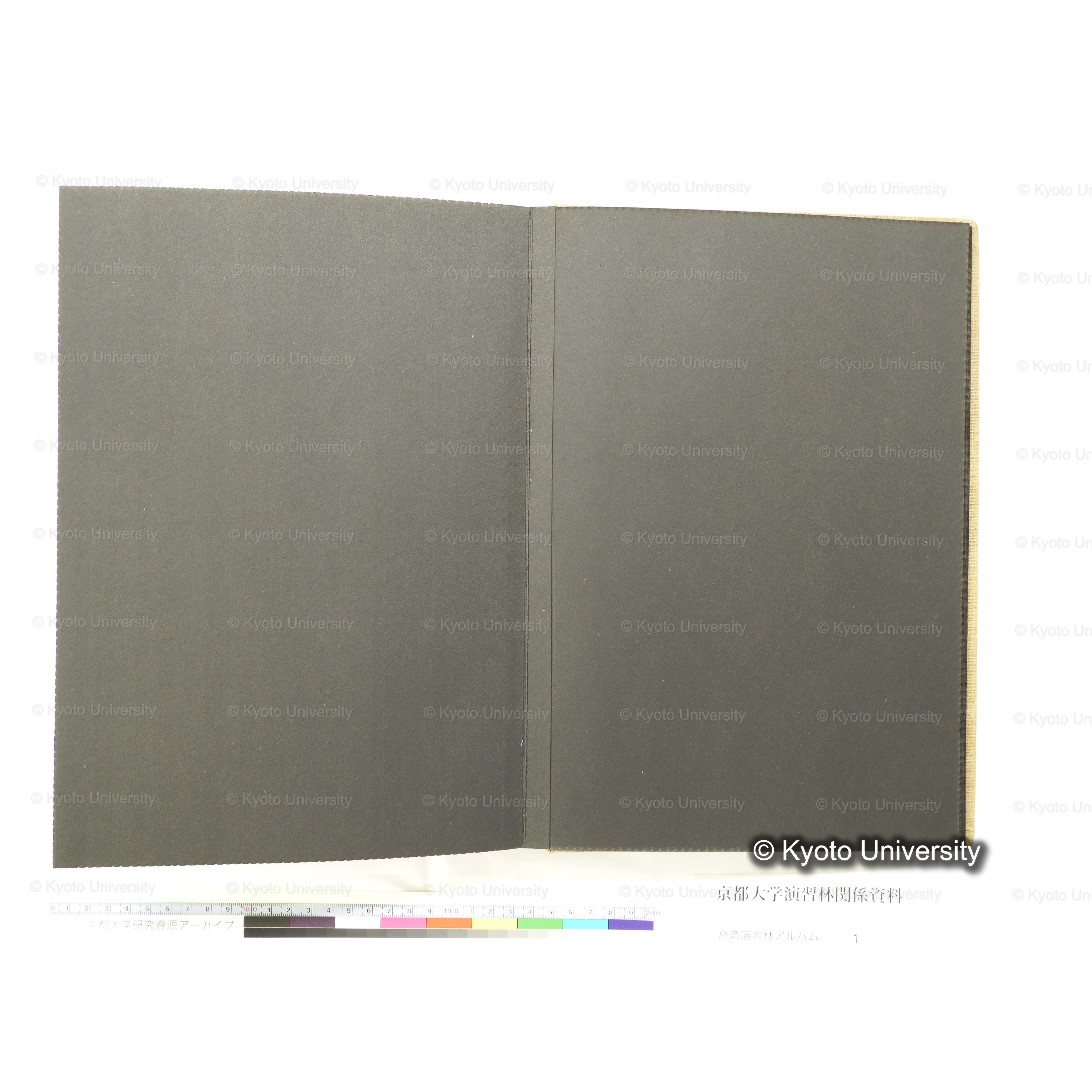 [台湾演習林アルバム(茶色表紙)] (50)