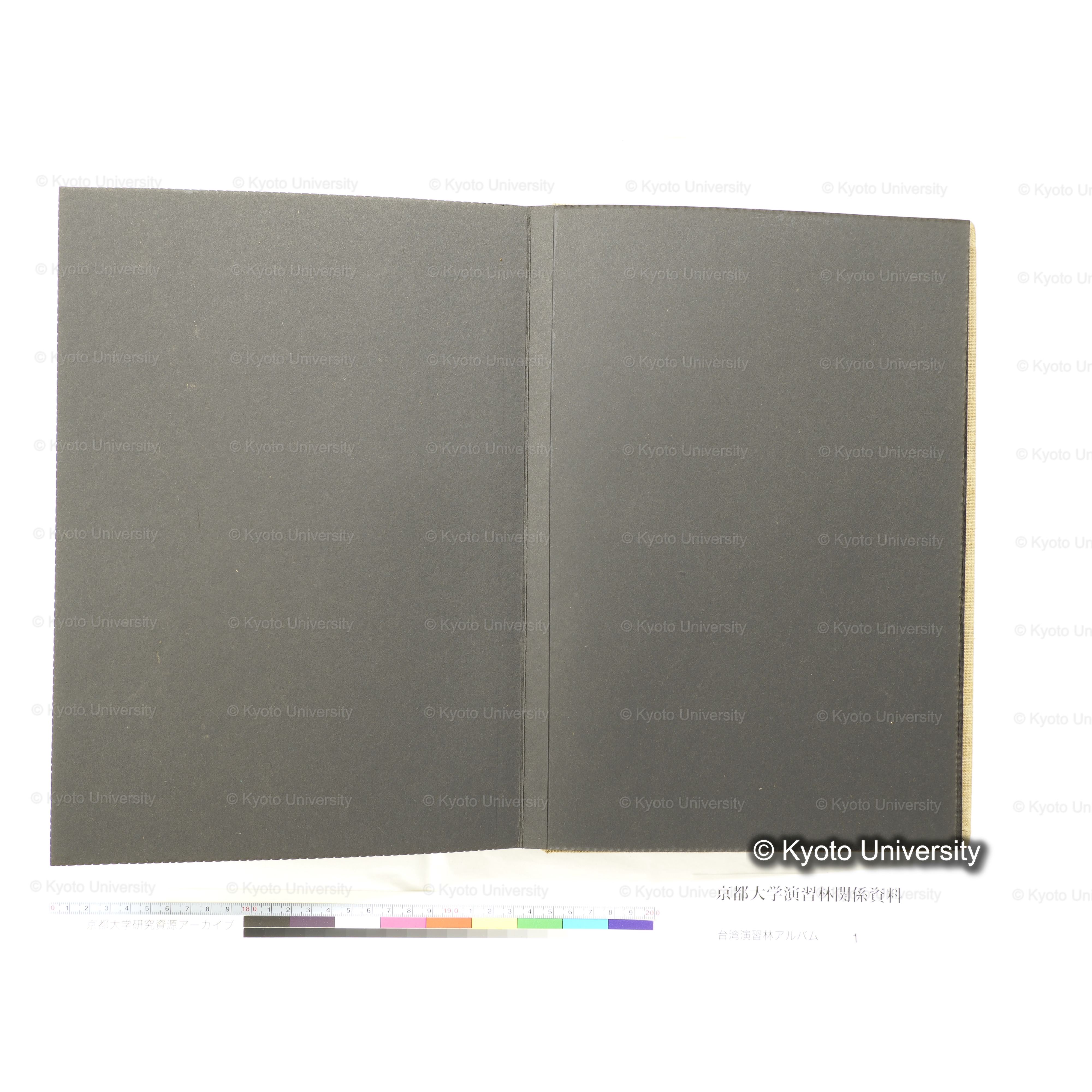 [台湾演習林アルバム(茶色表紙)] (51)