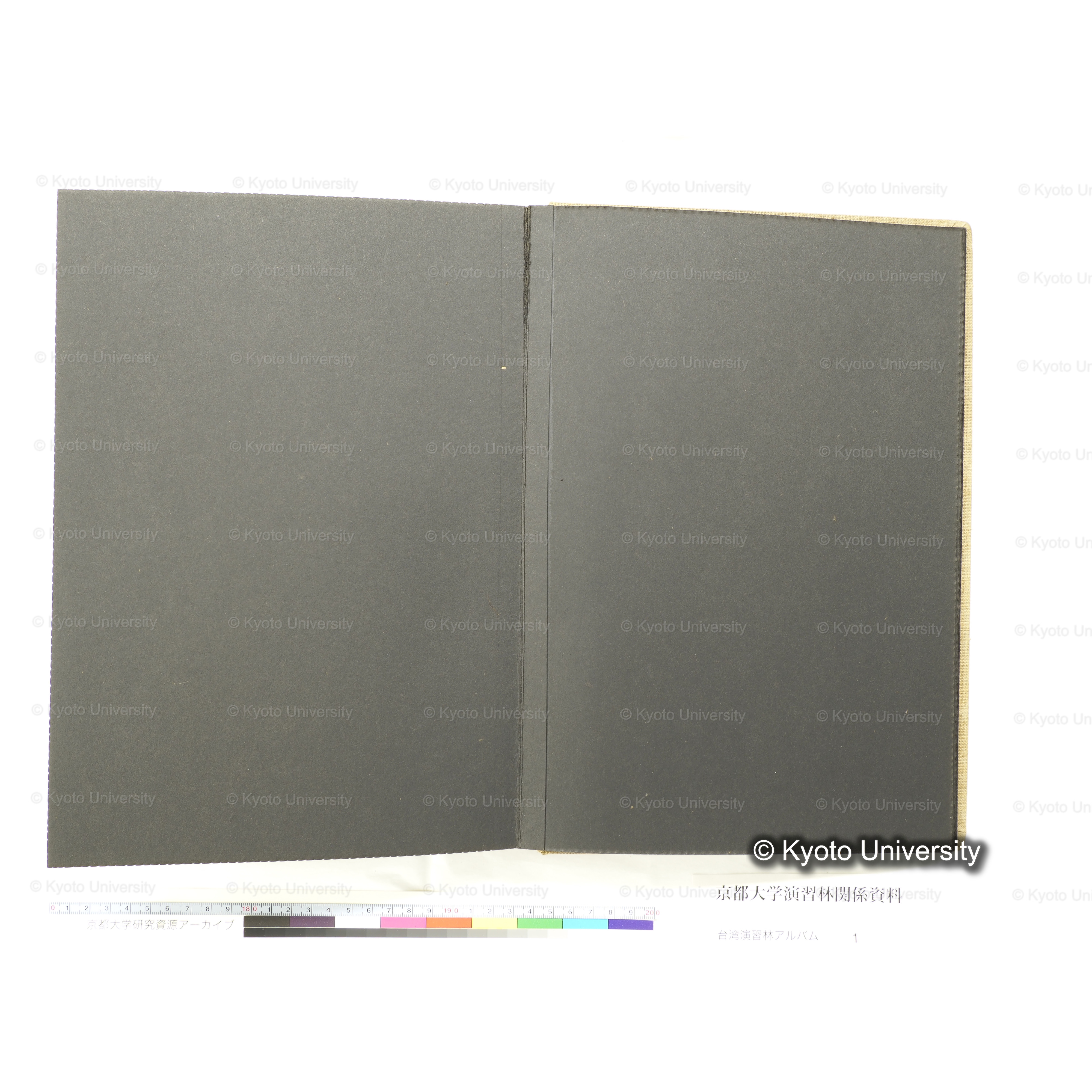 [台湾演習林アルバム(茶色表紙)] (52)