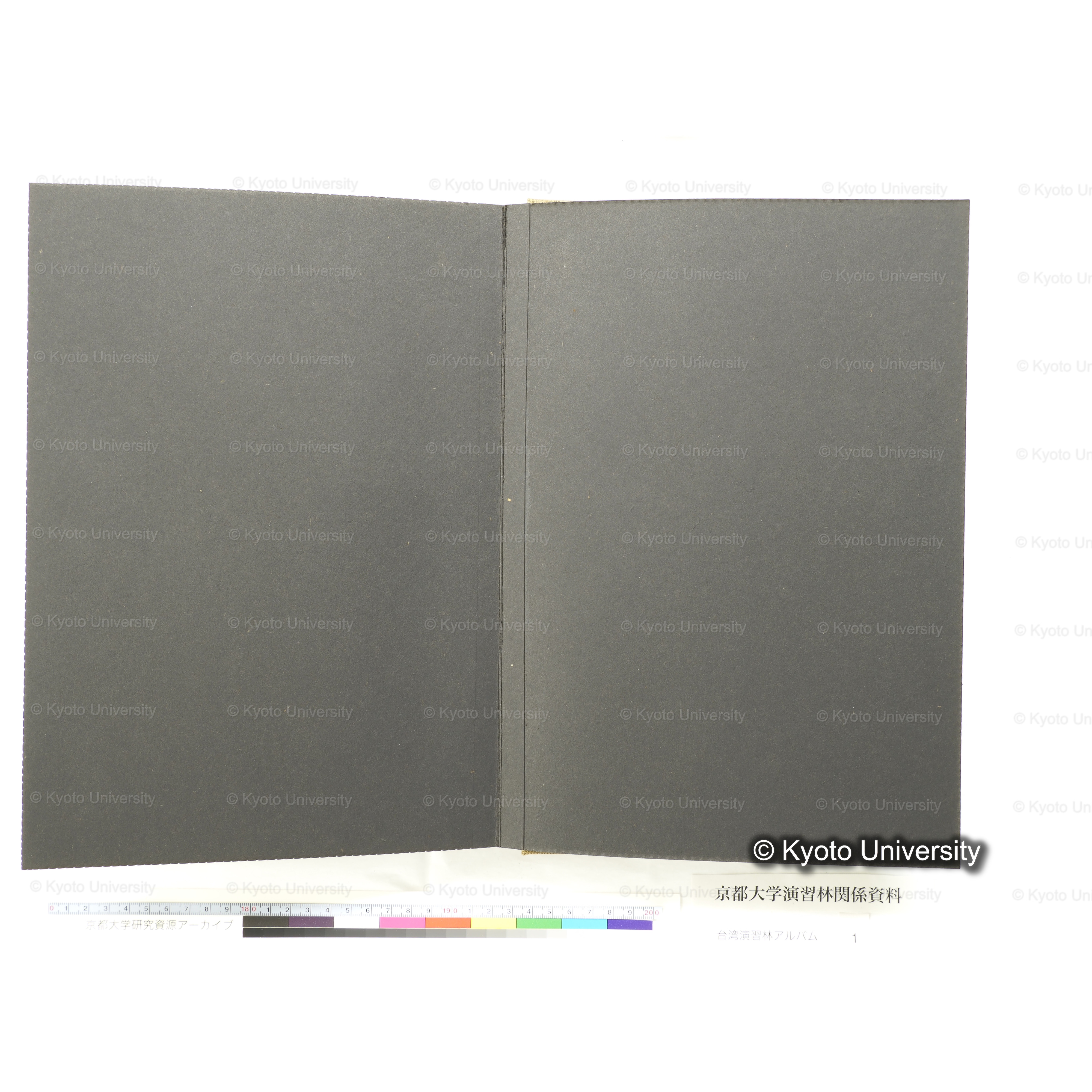 [台湾演習林アルバム(茶色表紙)] (53)