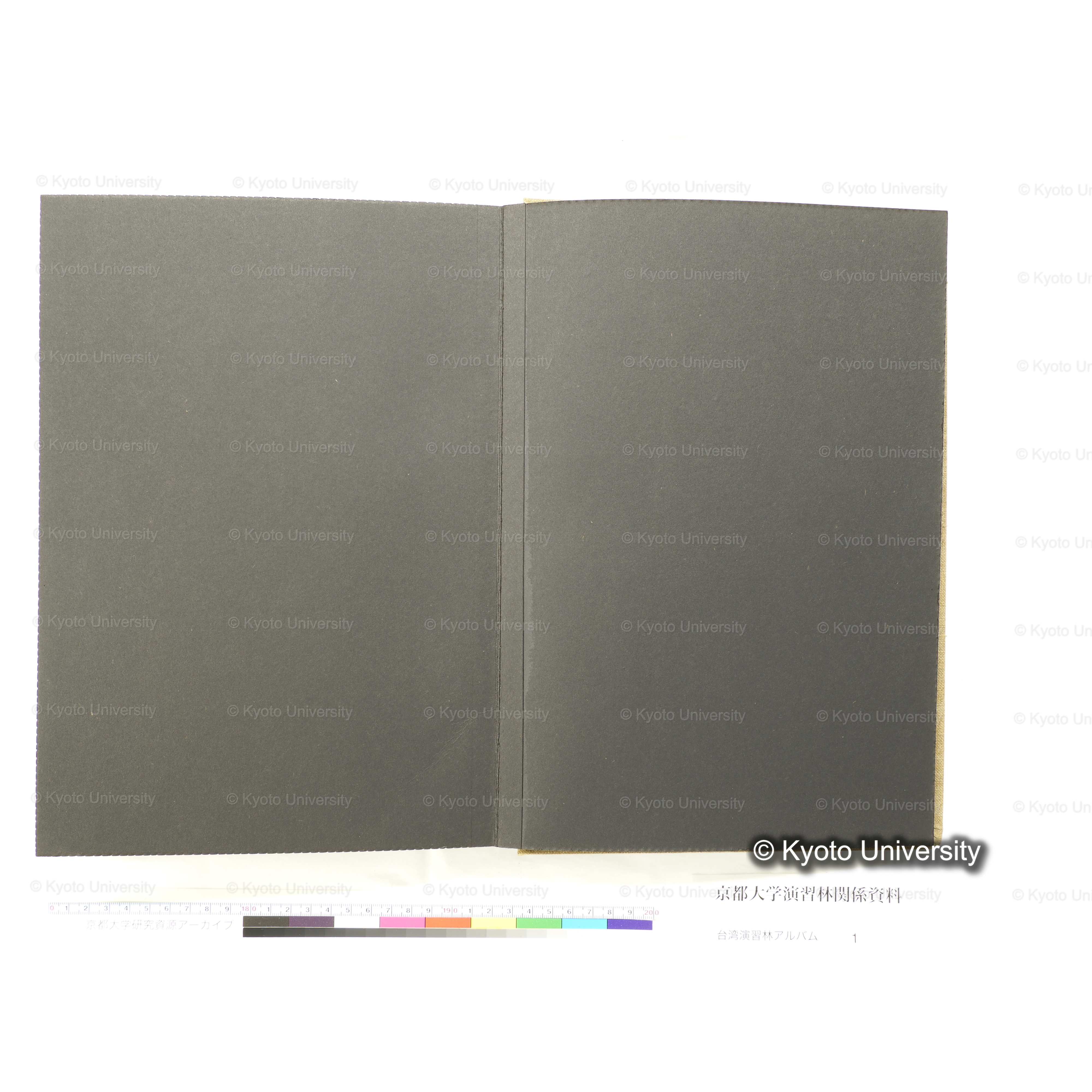 [台湾演習林アルバム(茶色表紙)] (54)