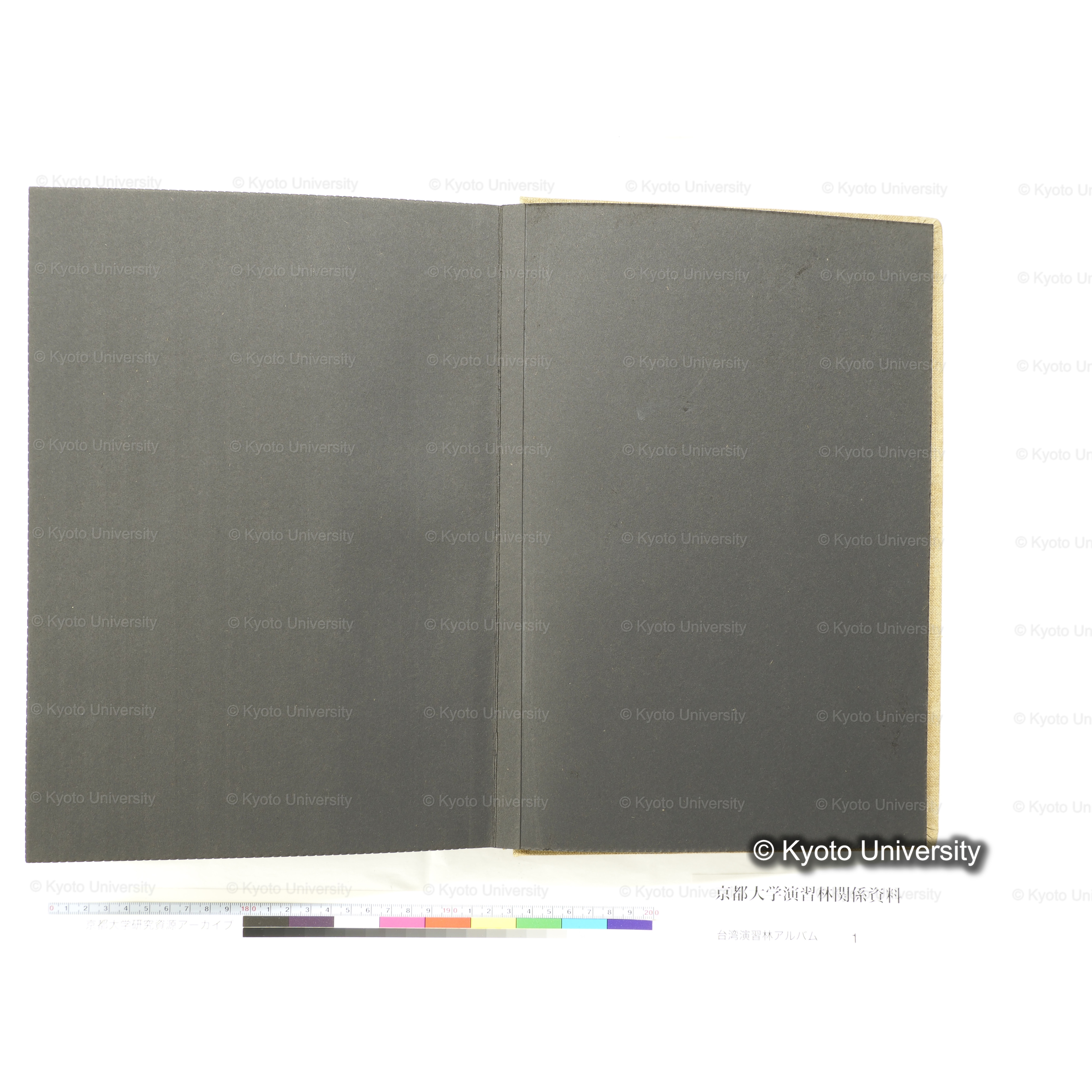 [台湾演習林アルバム(茶色表紙)] (55)