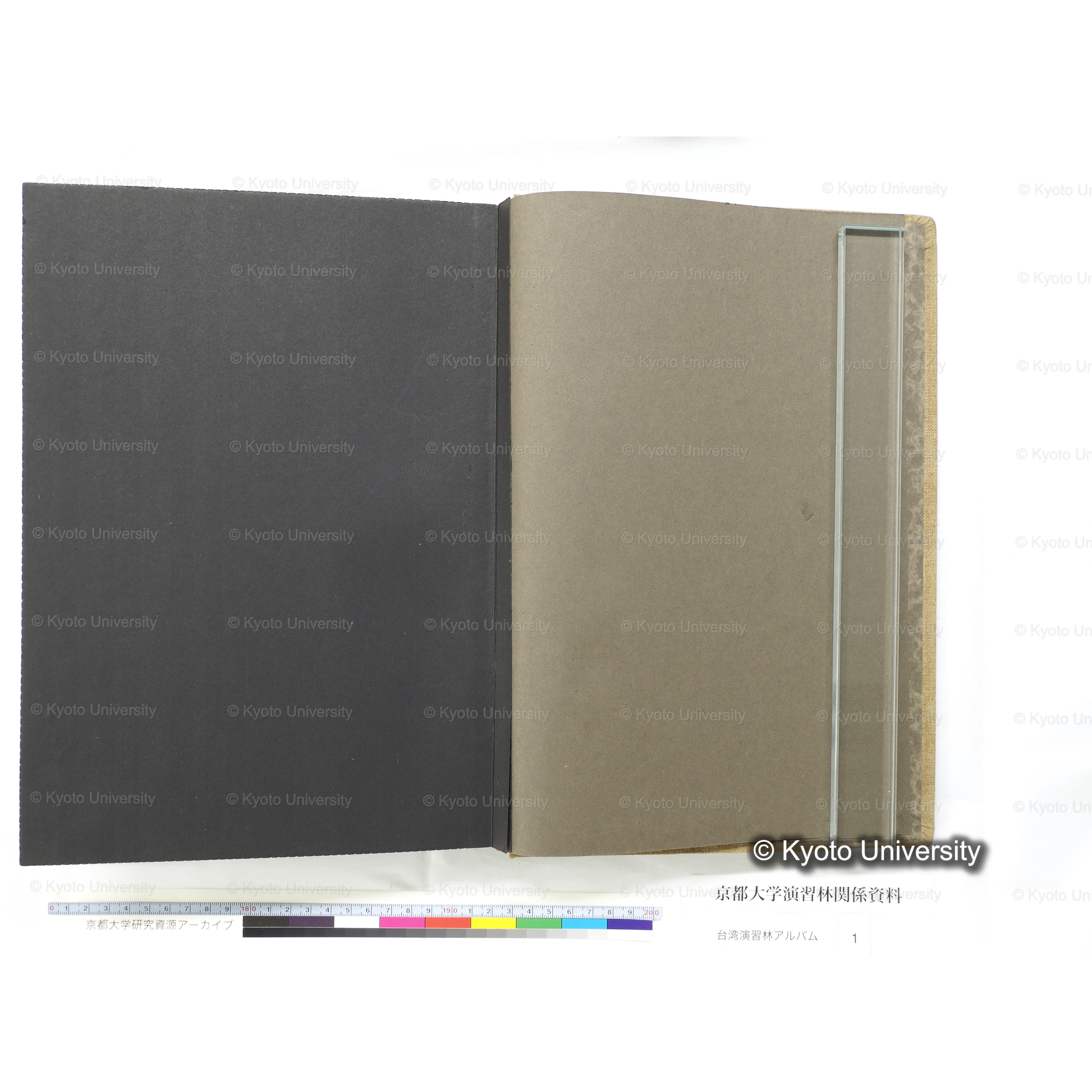 [台湾演習林アルバム(茶色表紙)] (56)